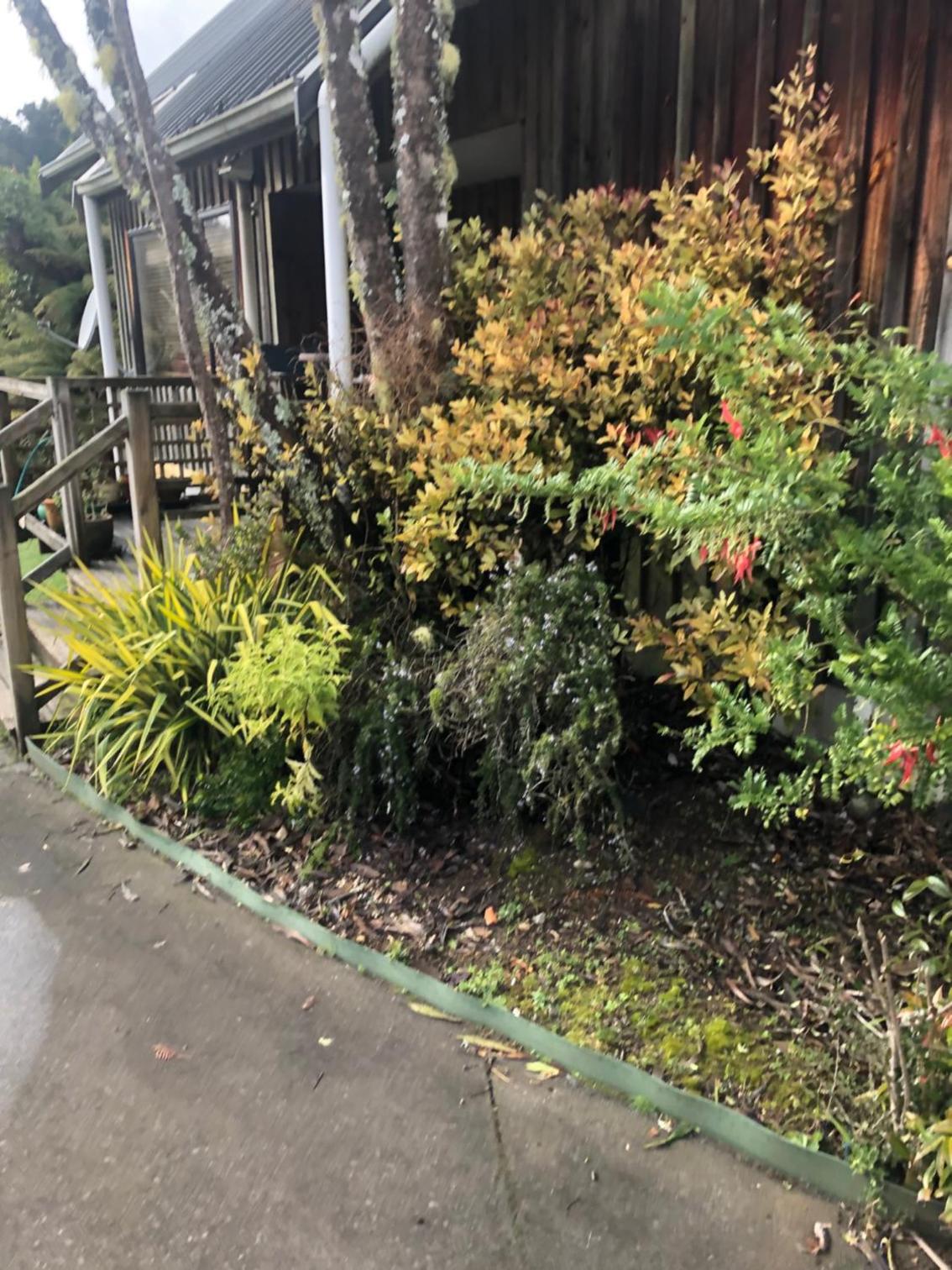 Photo 17