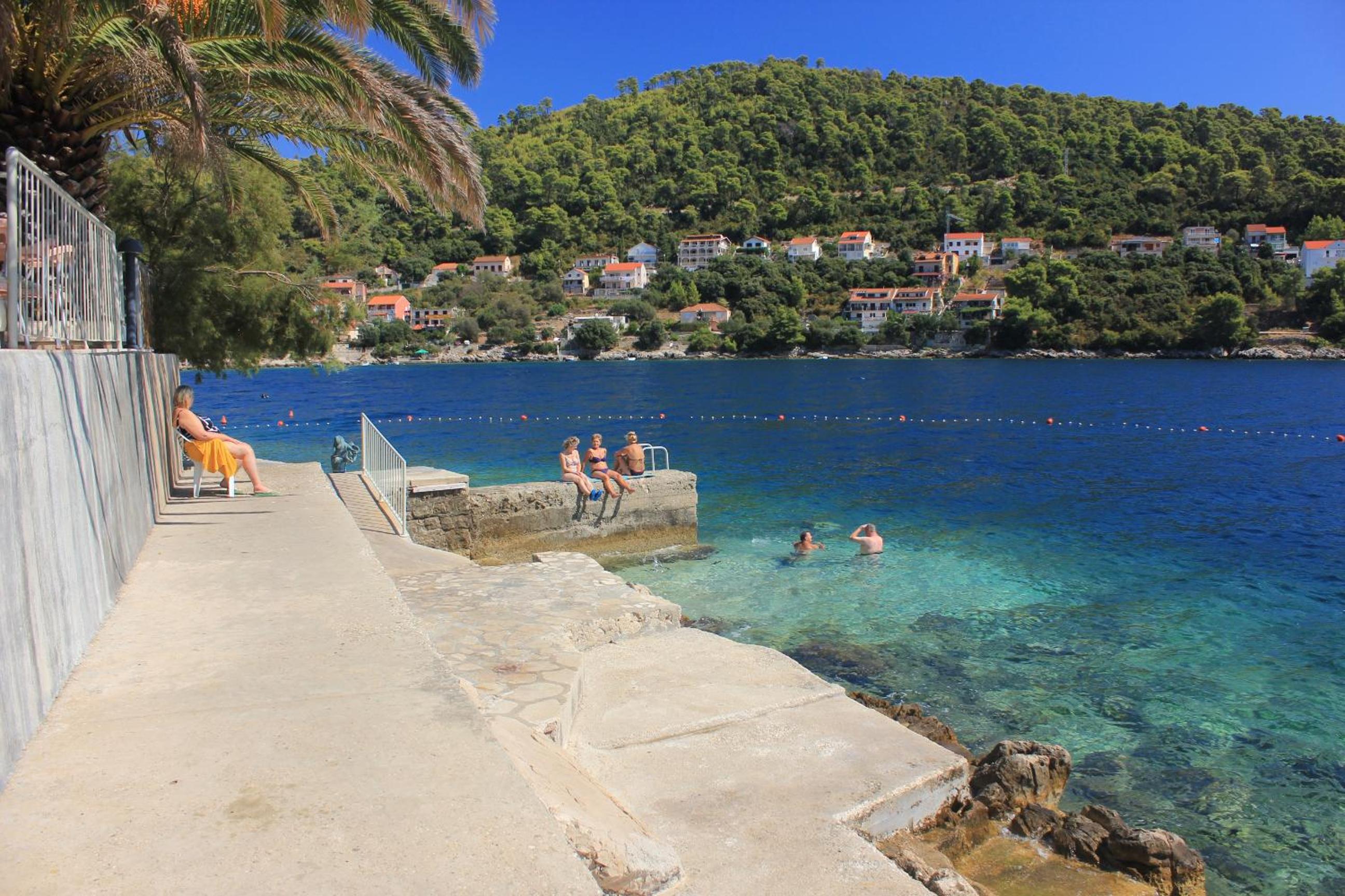 Holiday house with a swimming pool Smokvica, Korcula - 9297 view 3