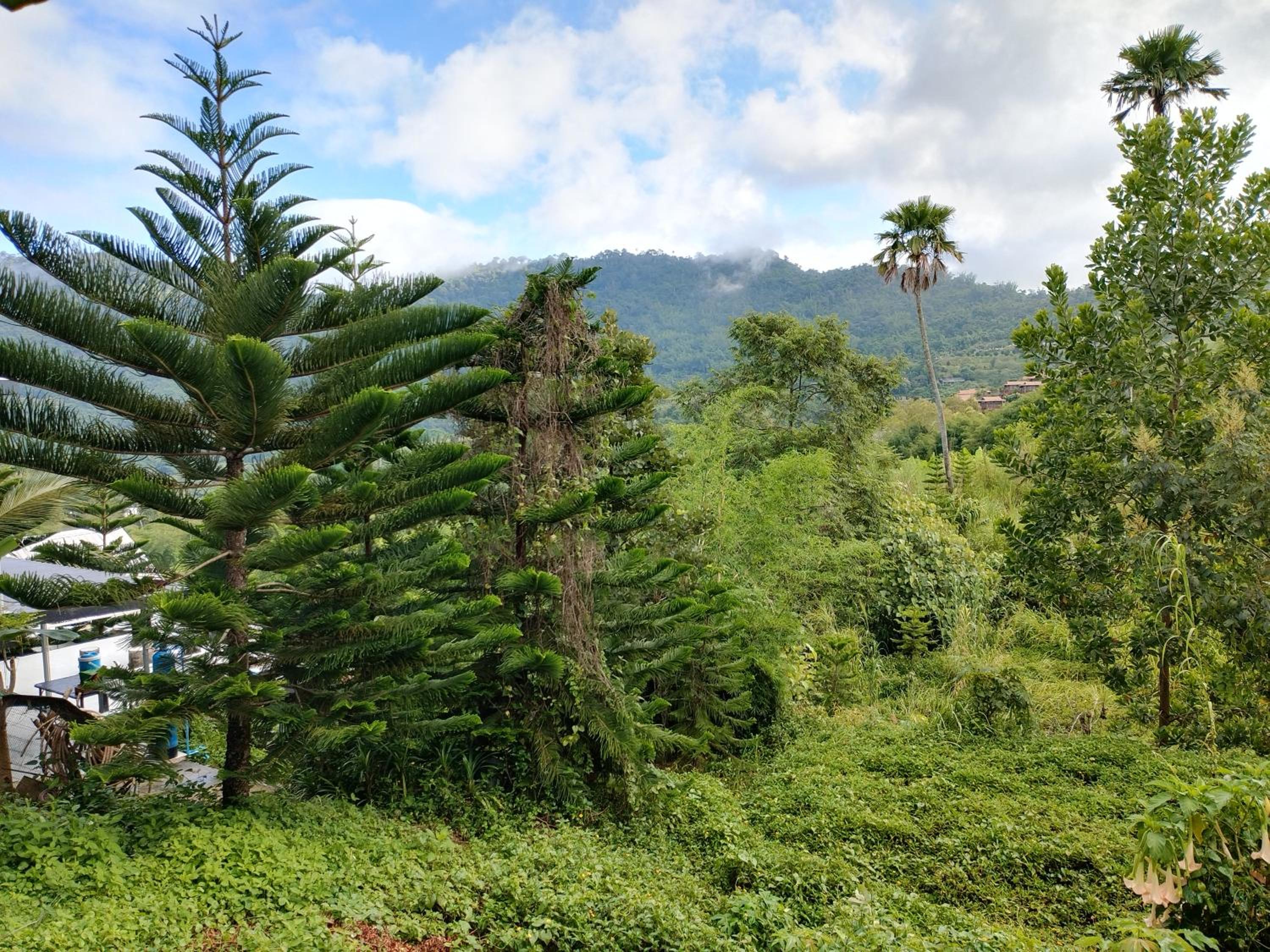 Thanorm Rak Resort