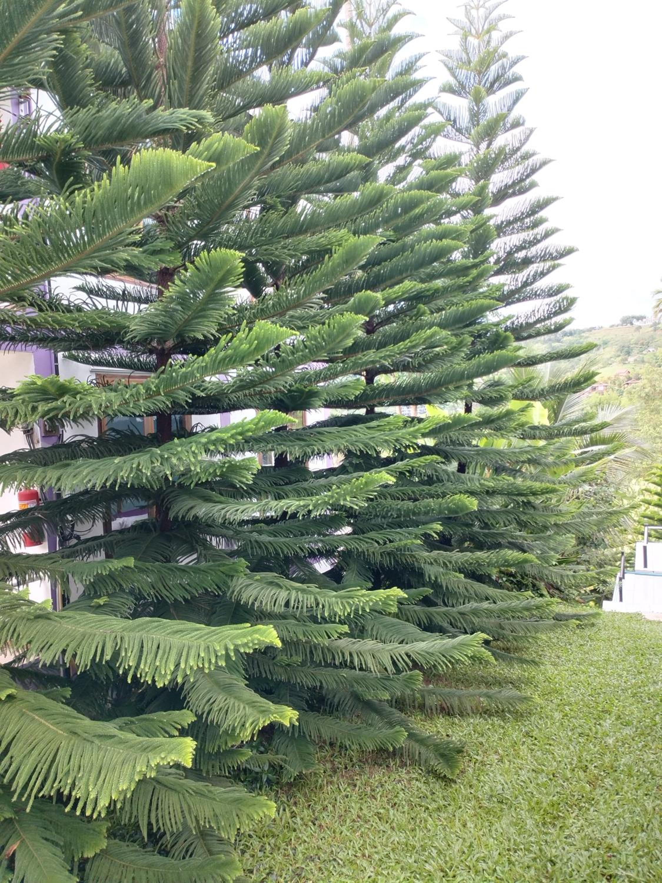 Thanorm Rak Resort