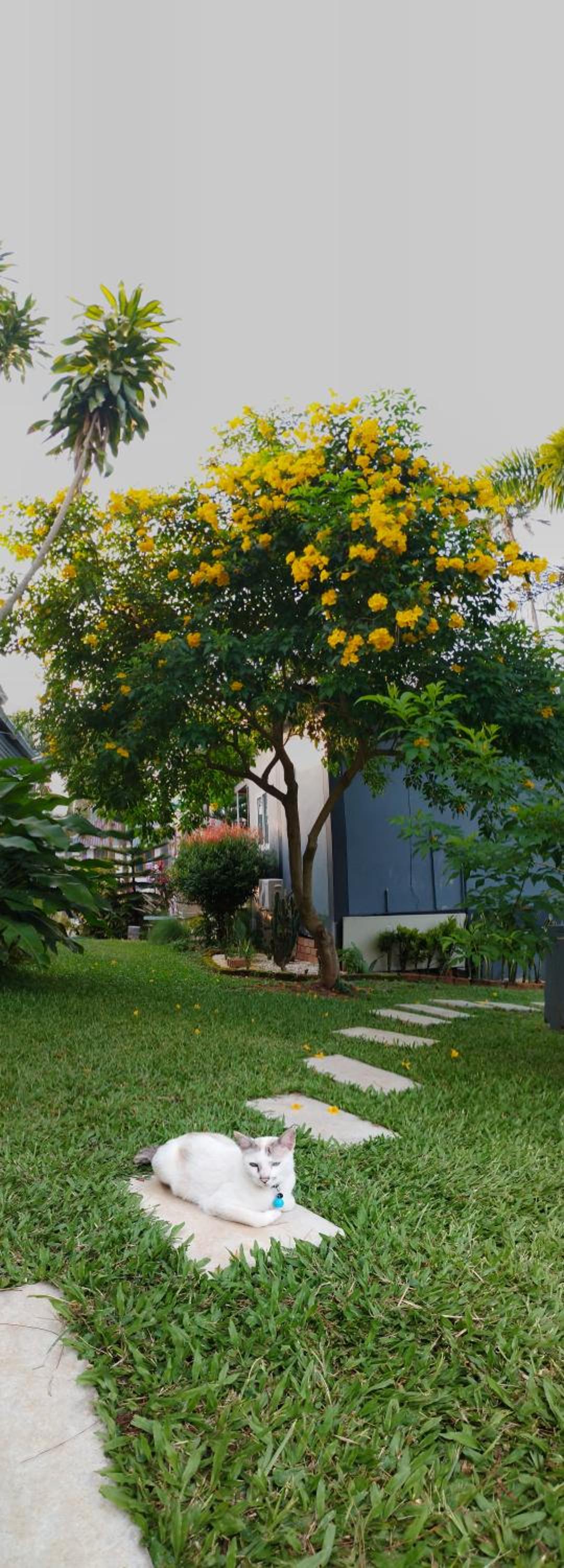 Thanorm Rak Resort