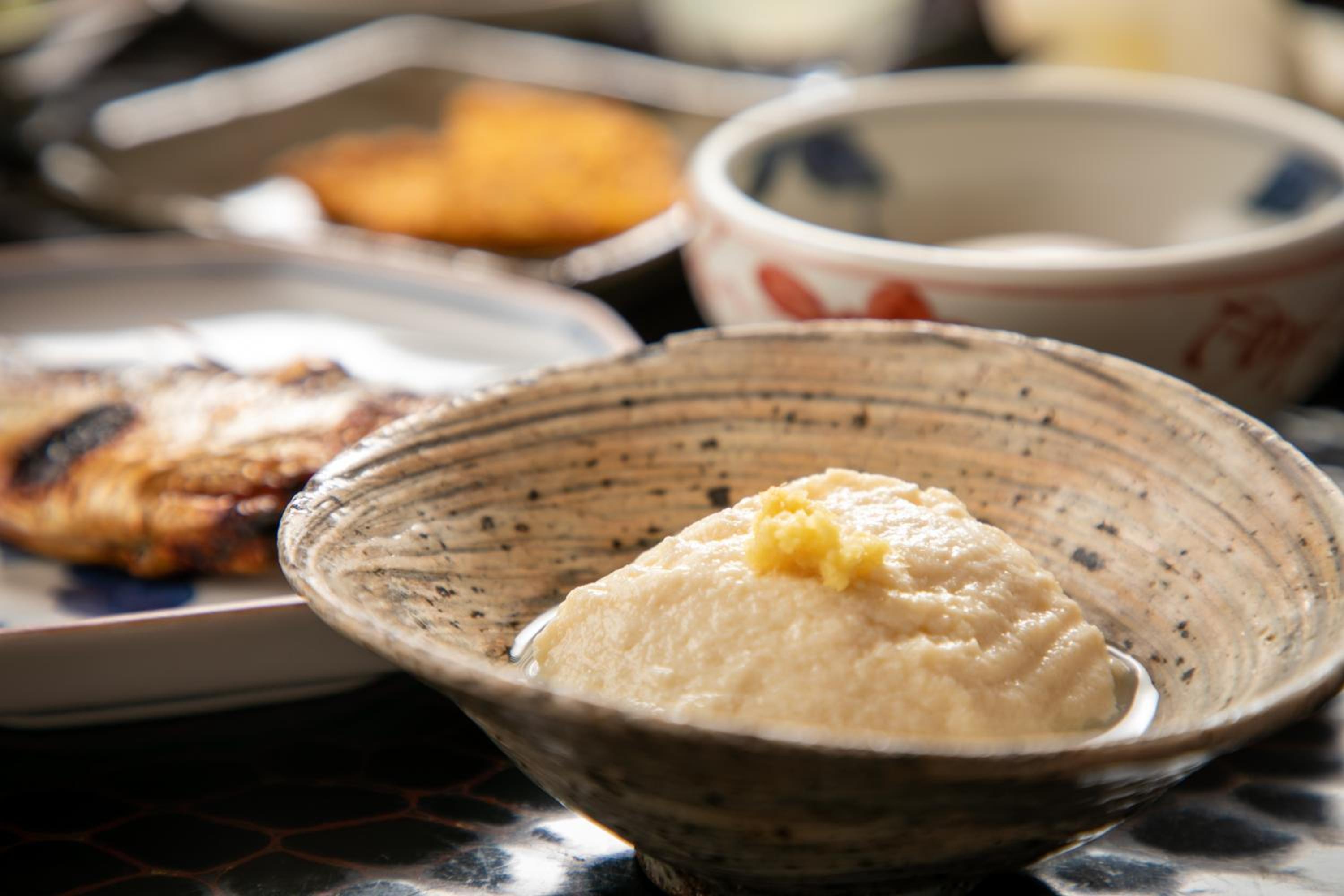 Mizuno Ryokan