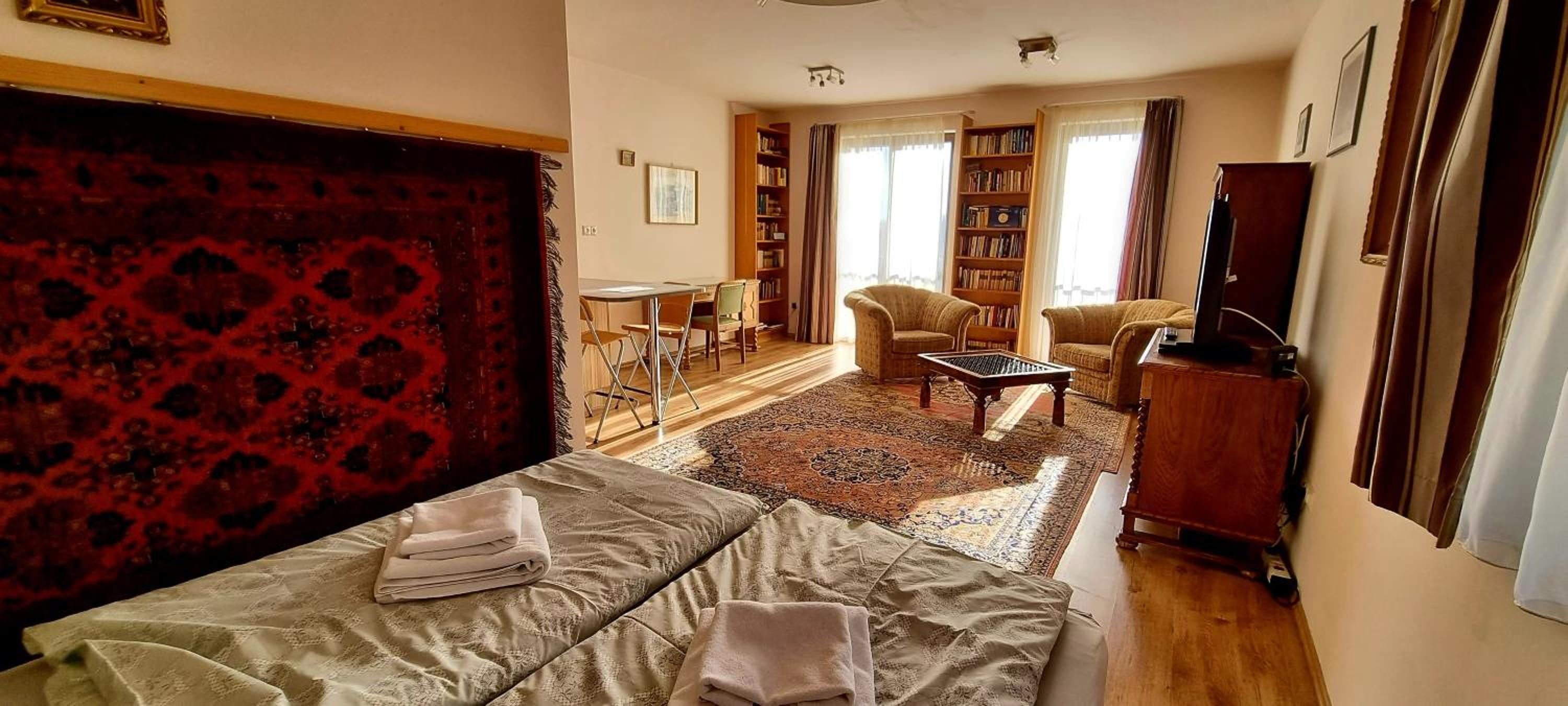 Sofia Premium Apartment free parking view 3