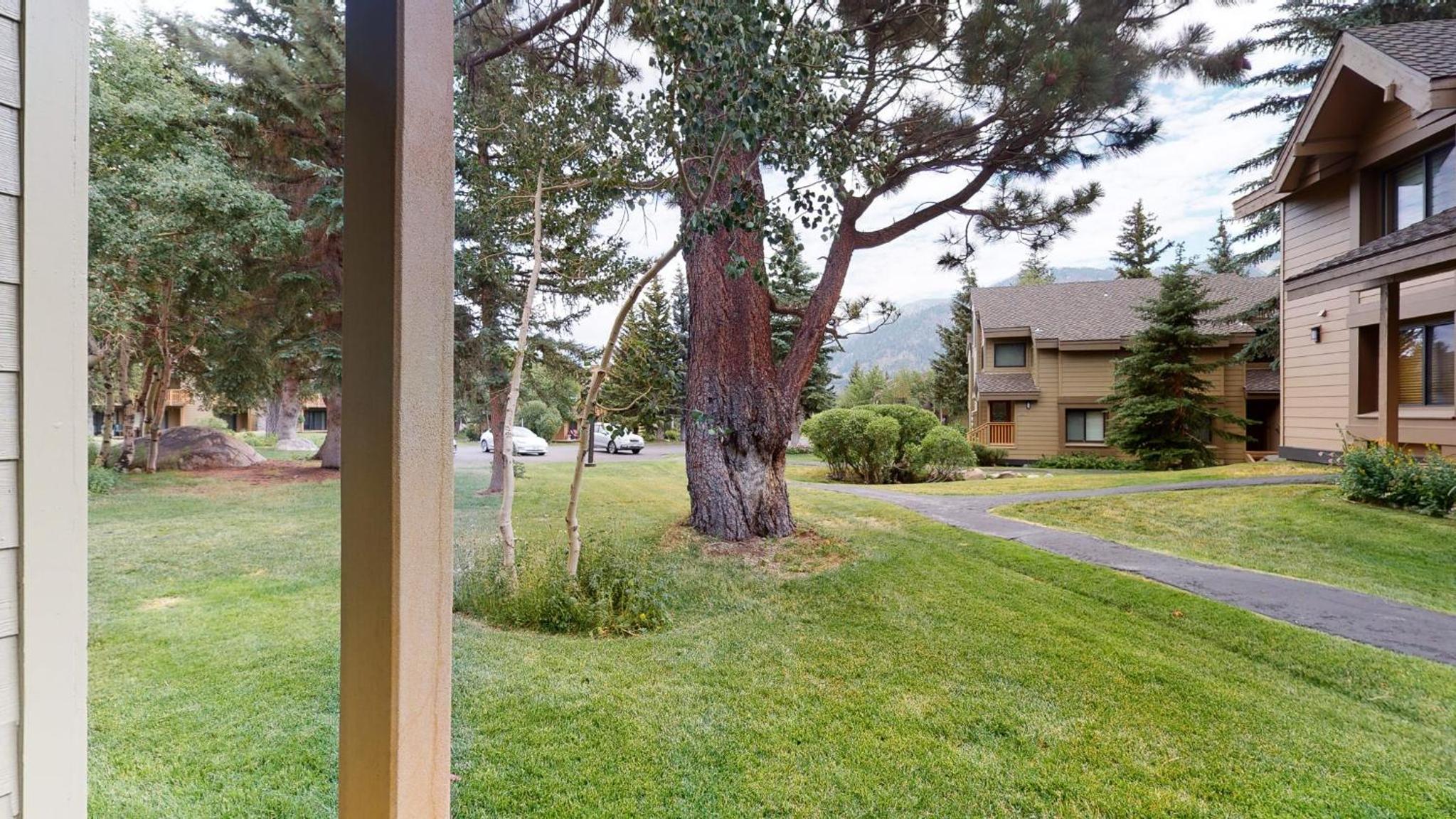 Snowcreek 253 Apartment view 4
