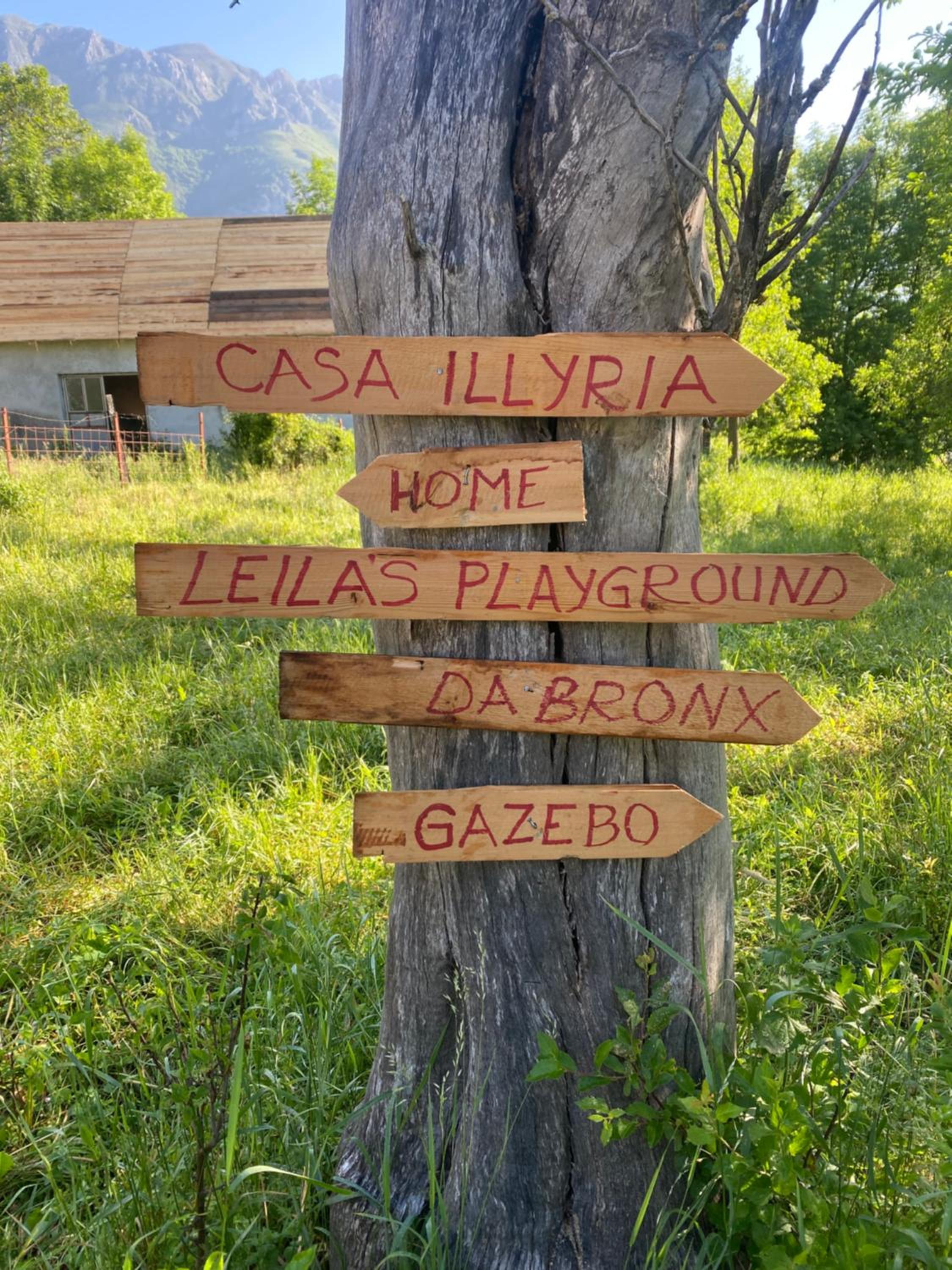 Photo 26