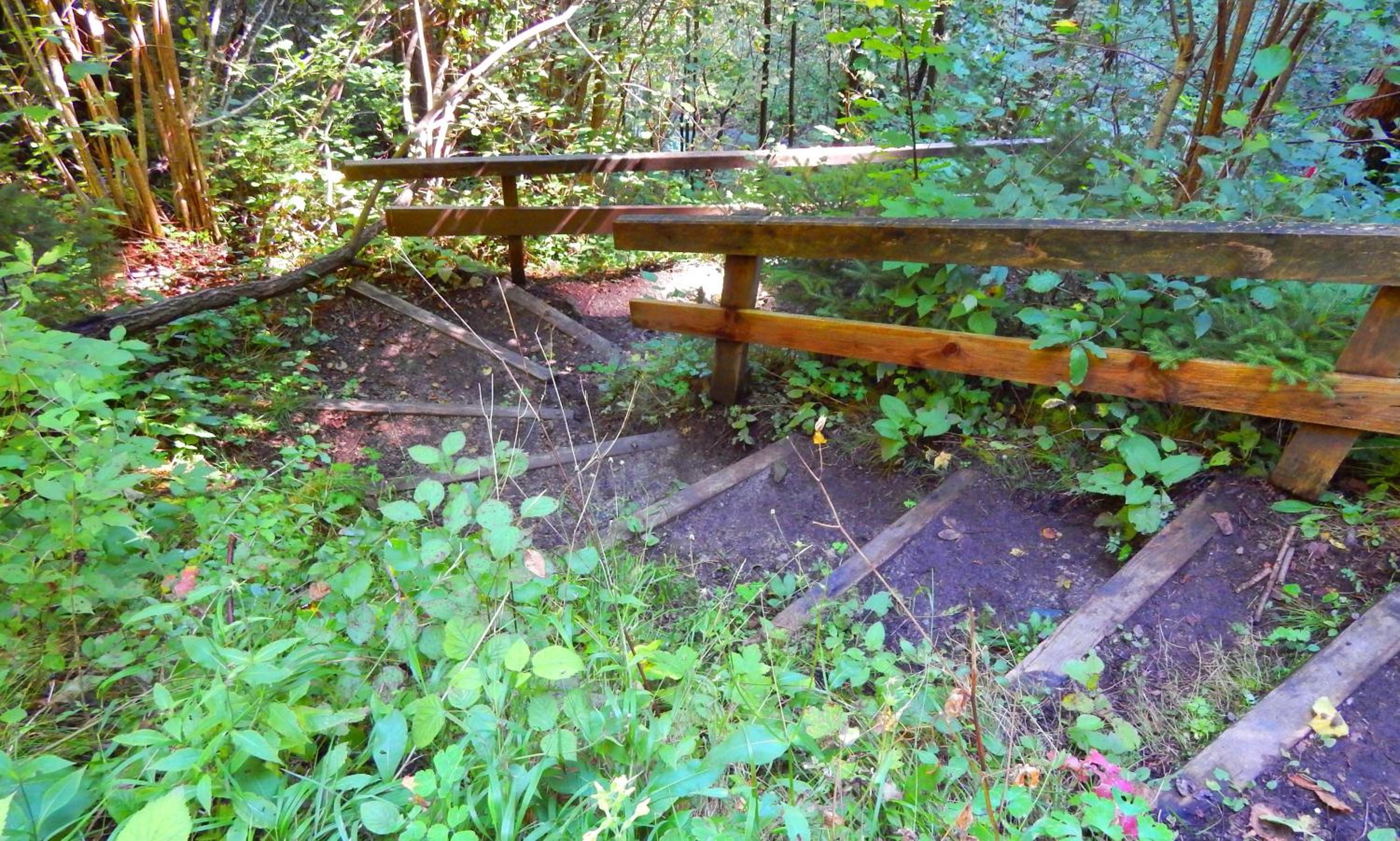 Photo 49