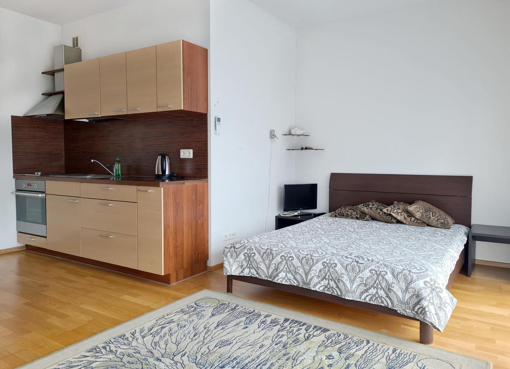 Sauleti Vanagupes apartamentai view 2
