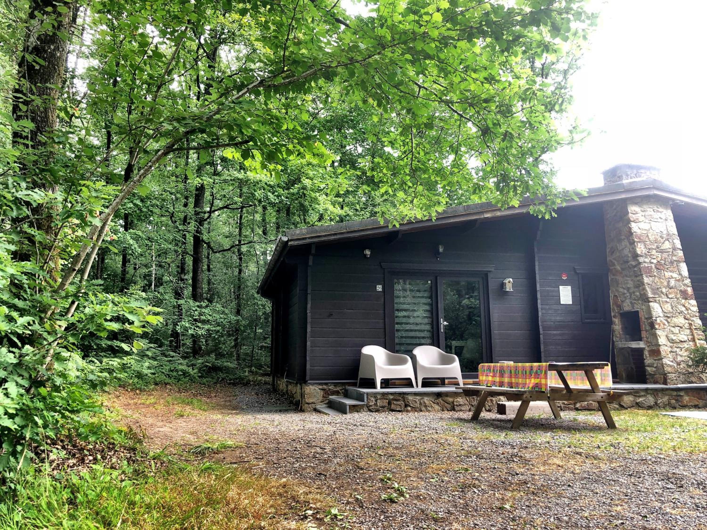 Forest Lodge view 4