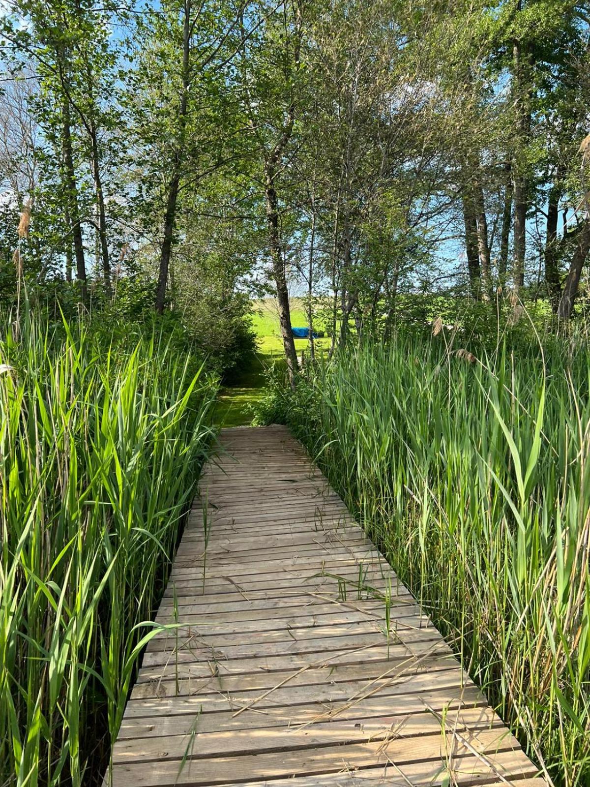 Ferienwohnung am Mattsee