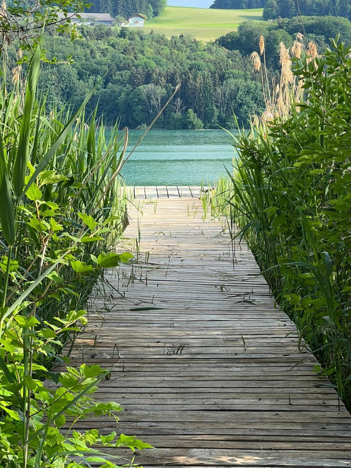 Ferienwohnung am Mattsee