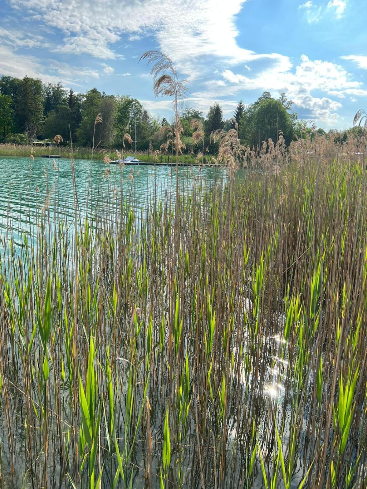 Ferienwohnung am Mattsee