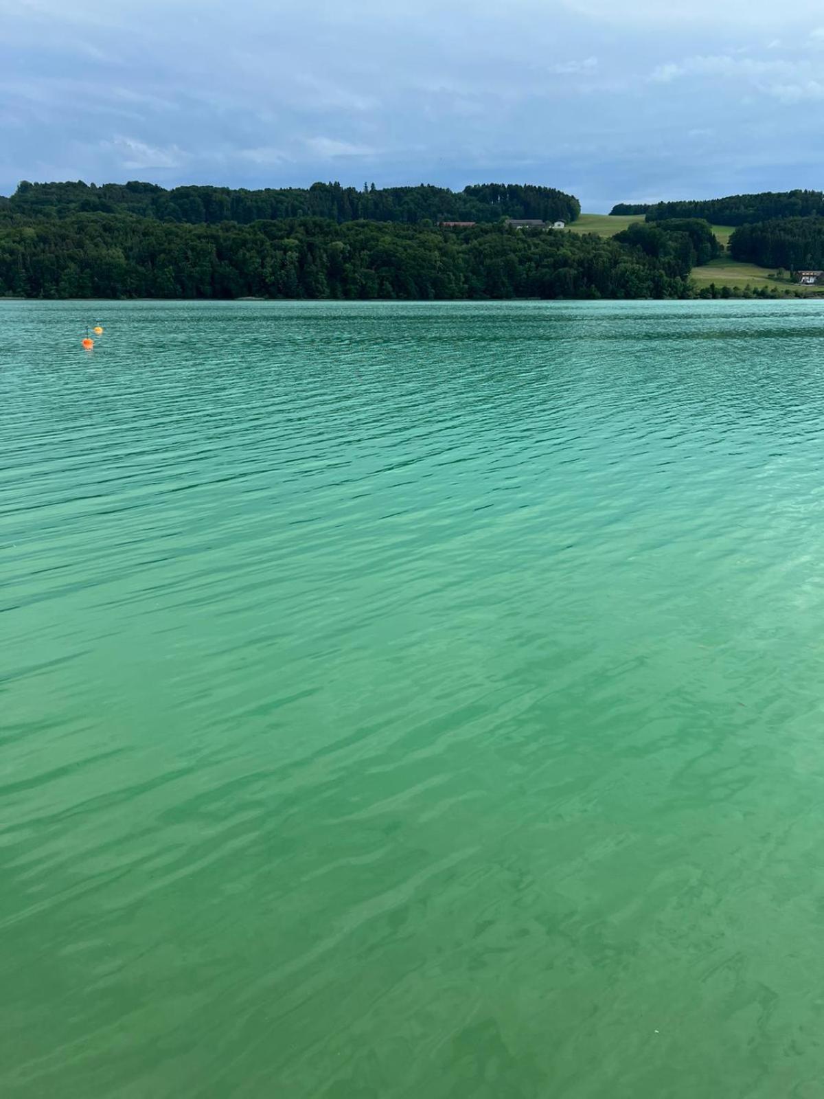Ferienwohnung am Mattsee