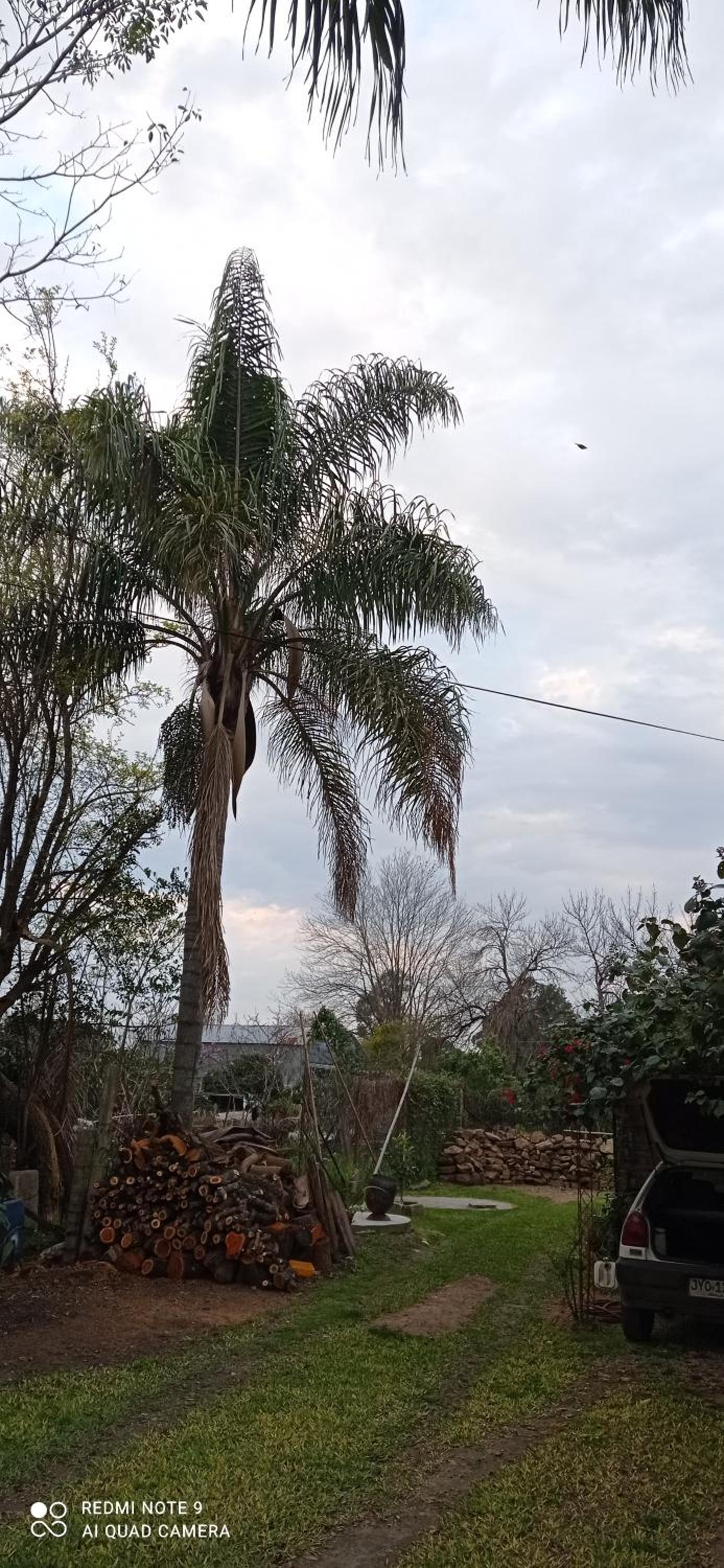 Casanuestra view 3