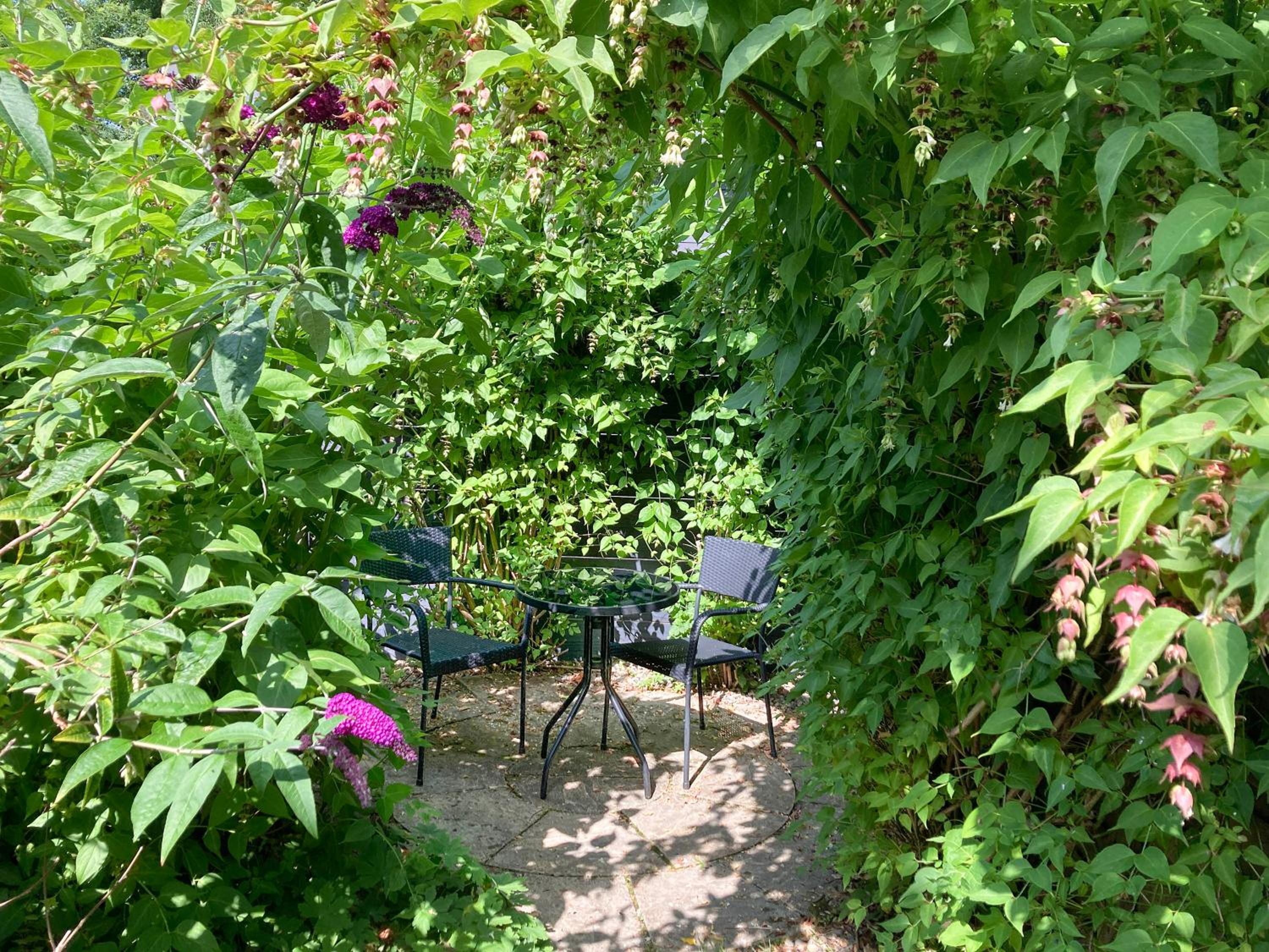 Photo 27