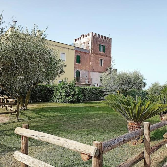 La Torre di Barbara, photo 16