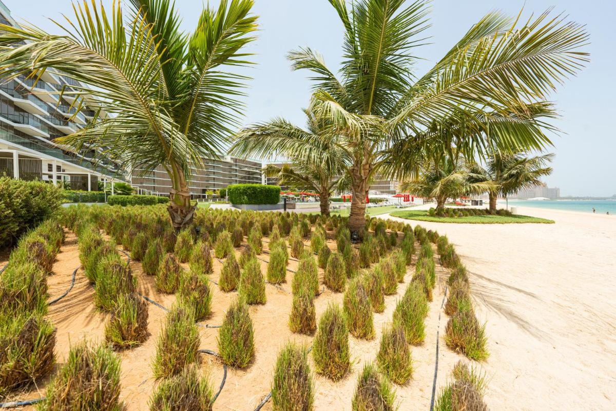 Spacious beachfront 2 bedroom apartment - The 8