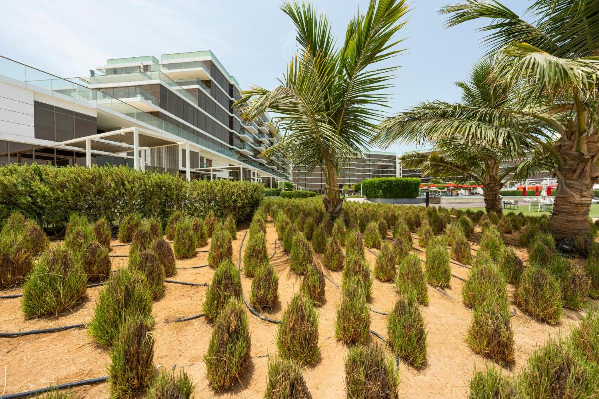 Spacious beachfront 2 bedroom apartment - The 8