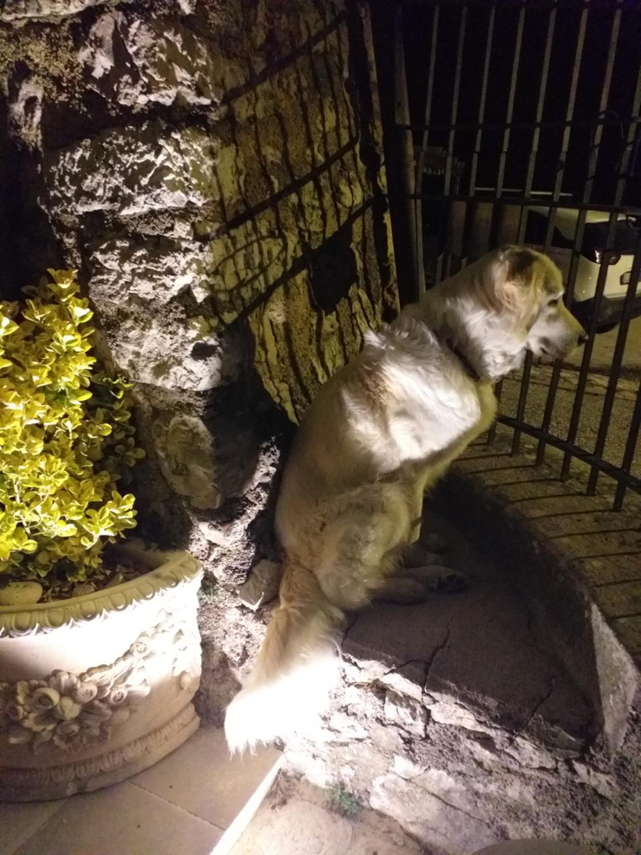 Agriturismo campagna in compagnia