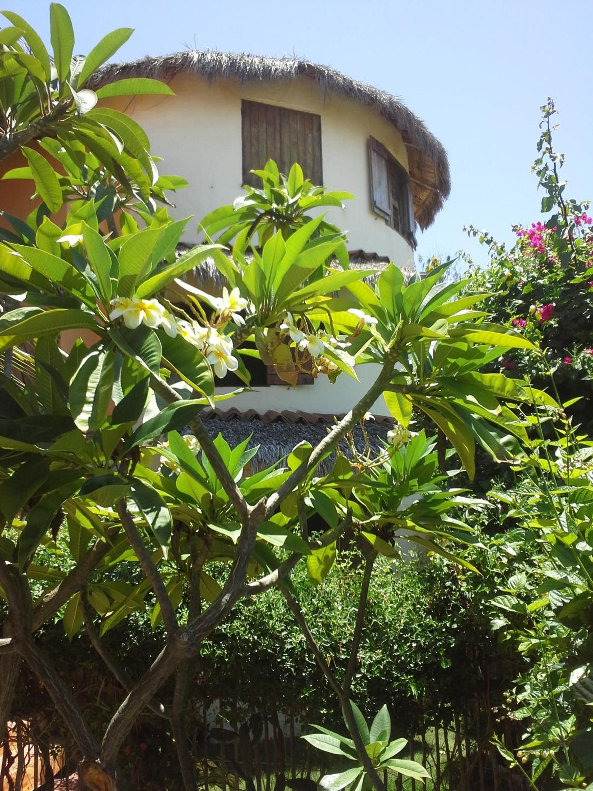 Photo 47
