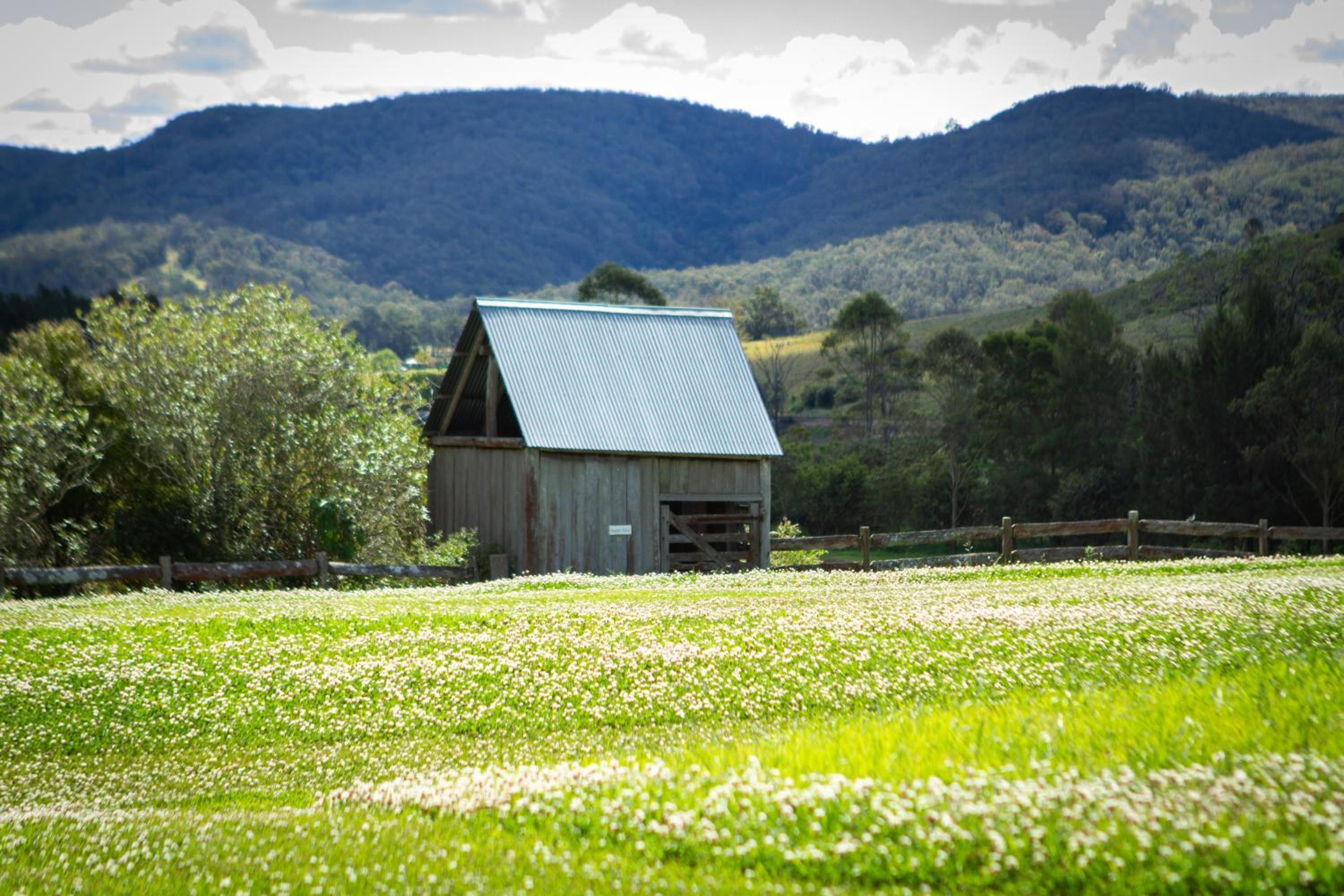 The Barracks, Tocal