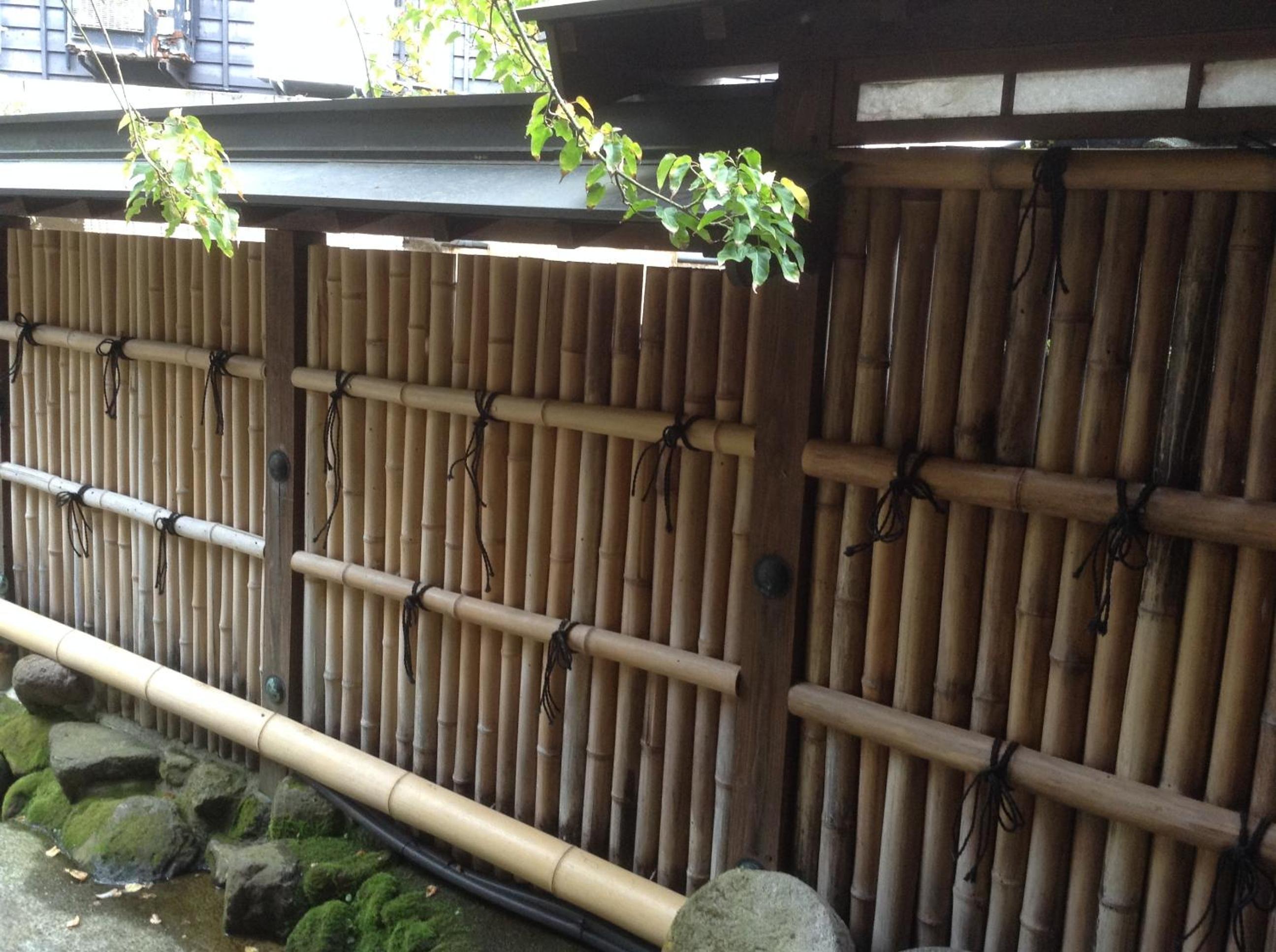 Photo 40