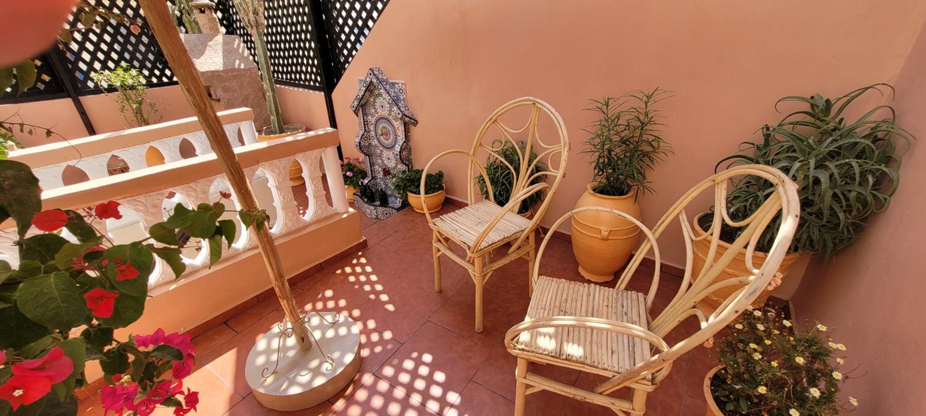 balance & terrace