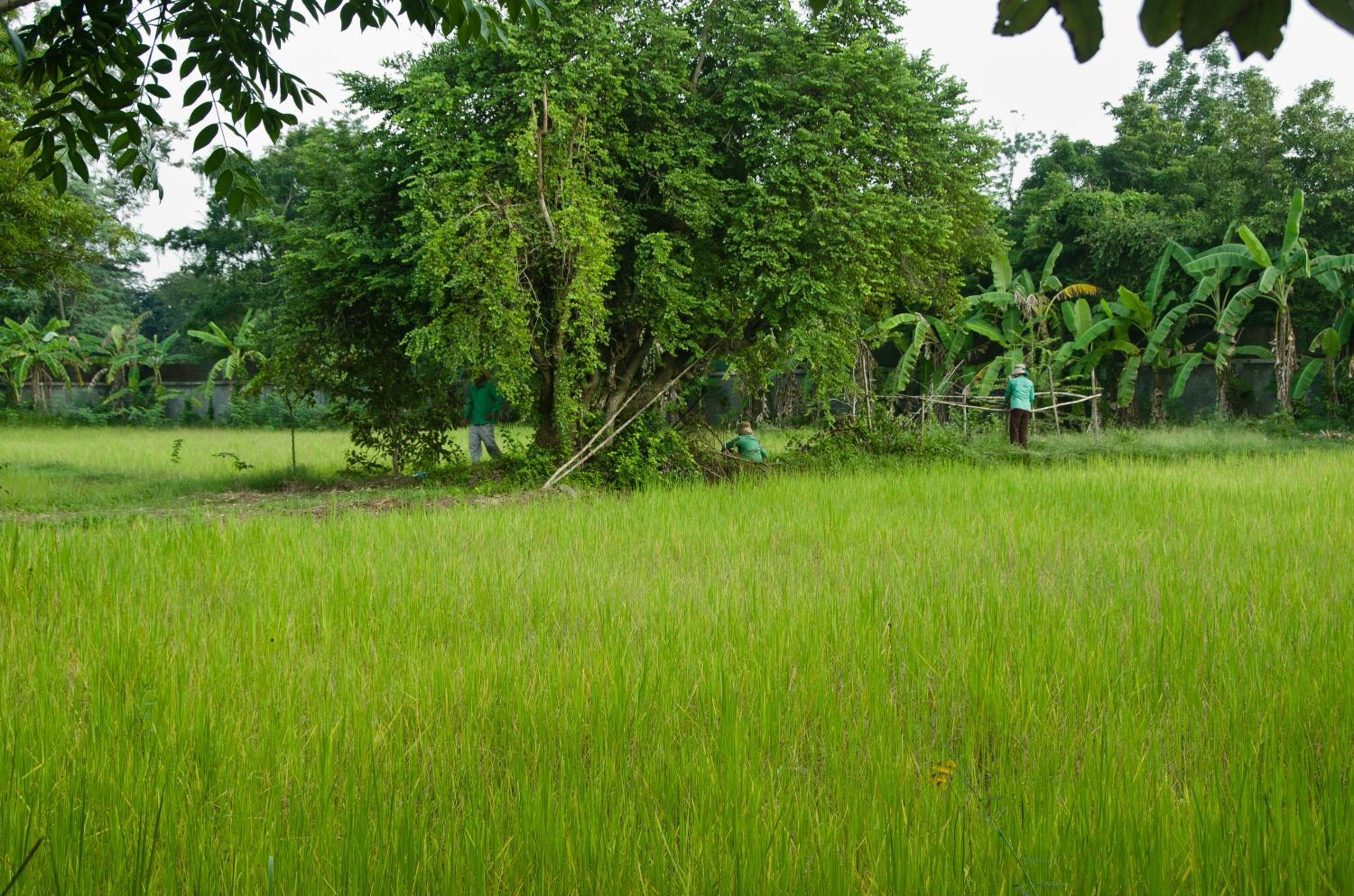 Battambang Resort
