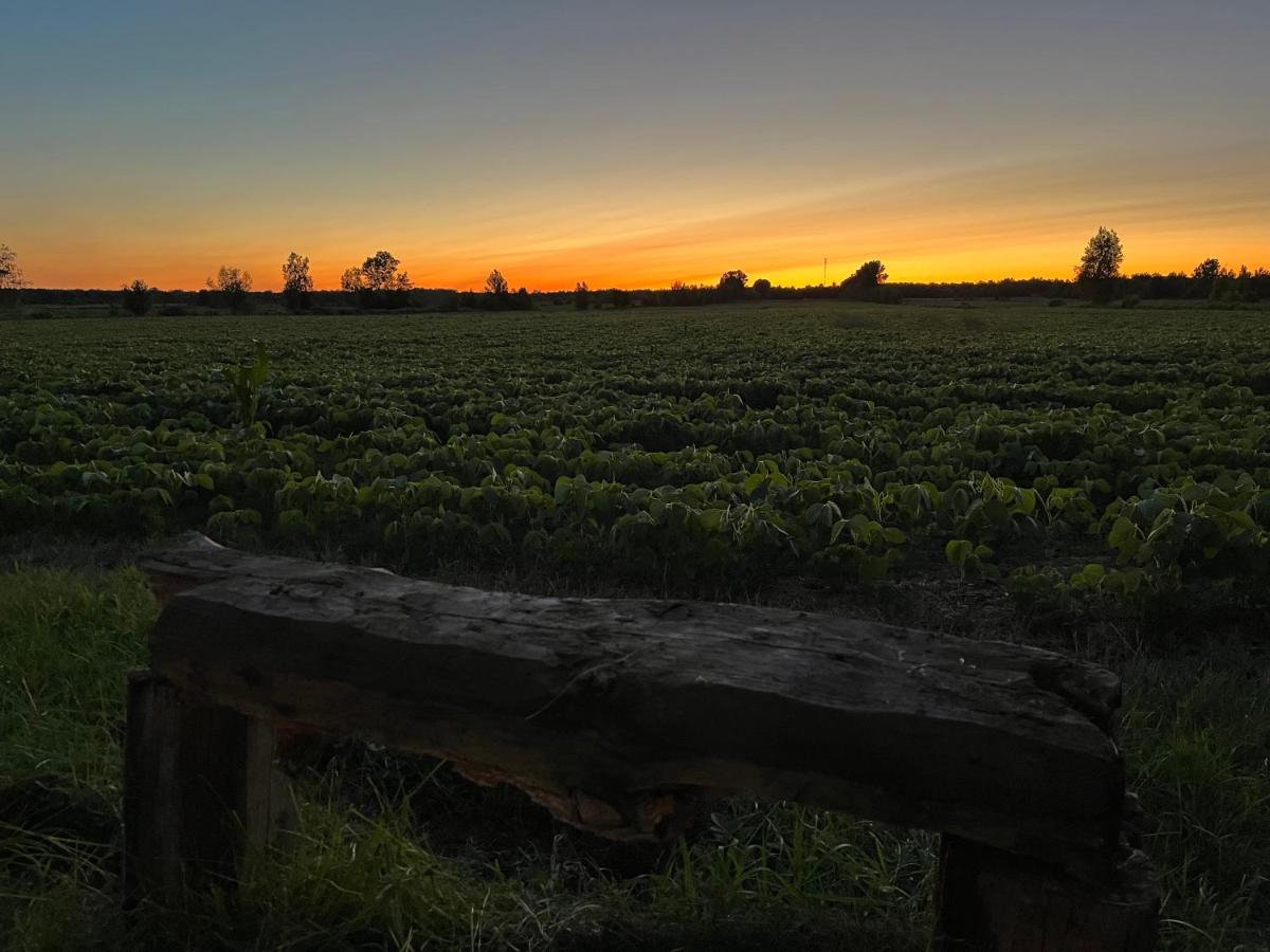 Trois-rivieres Vacations - Gite - The Rush for Barley - Property Image 9