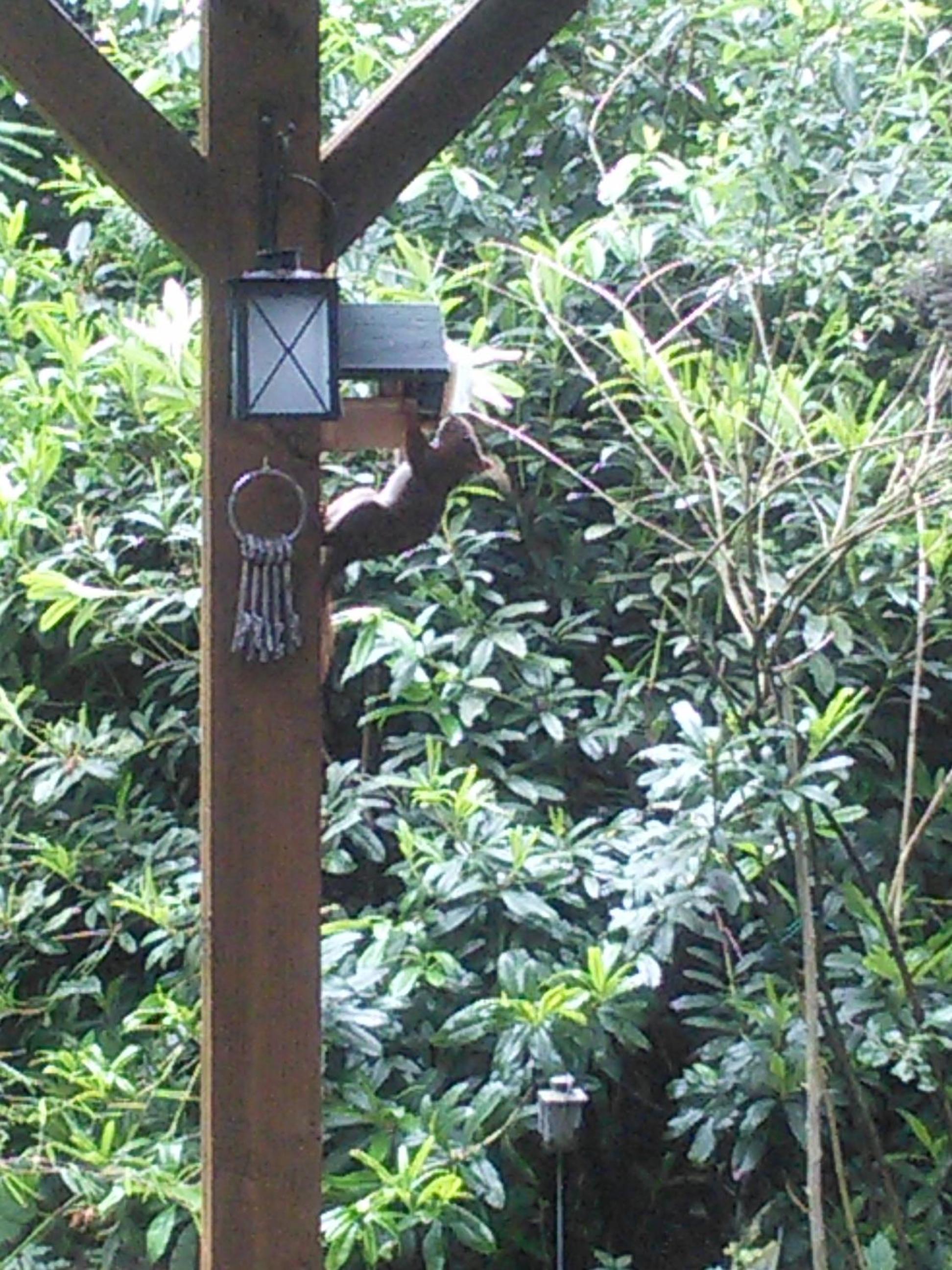 Photo 20