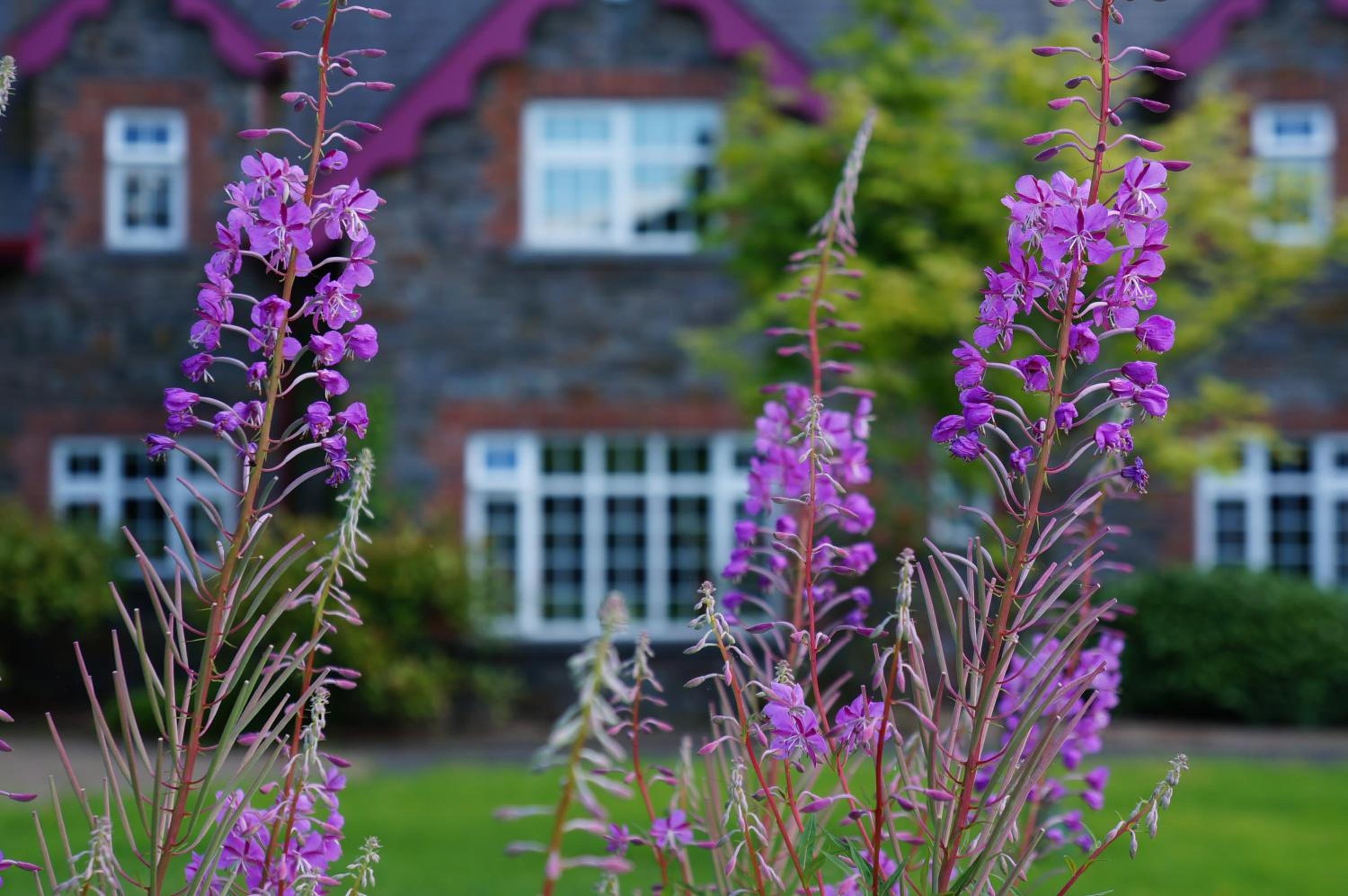 Rossclare Lodge