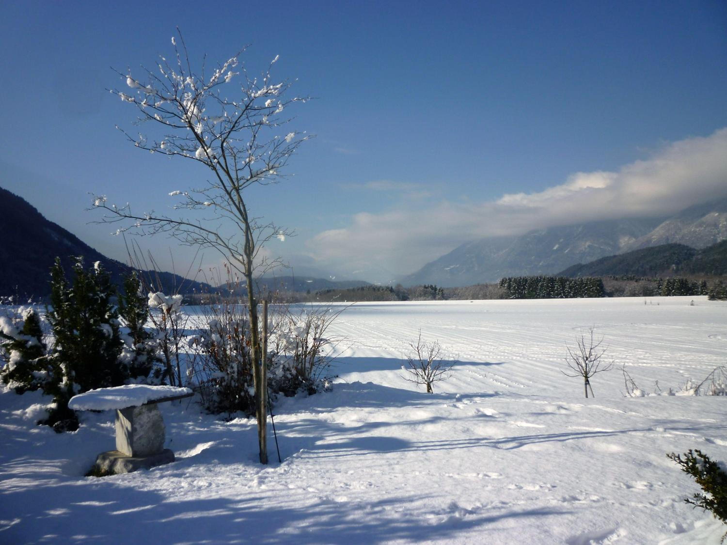 Photo 41