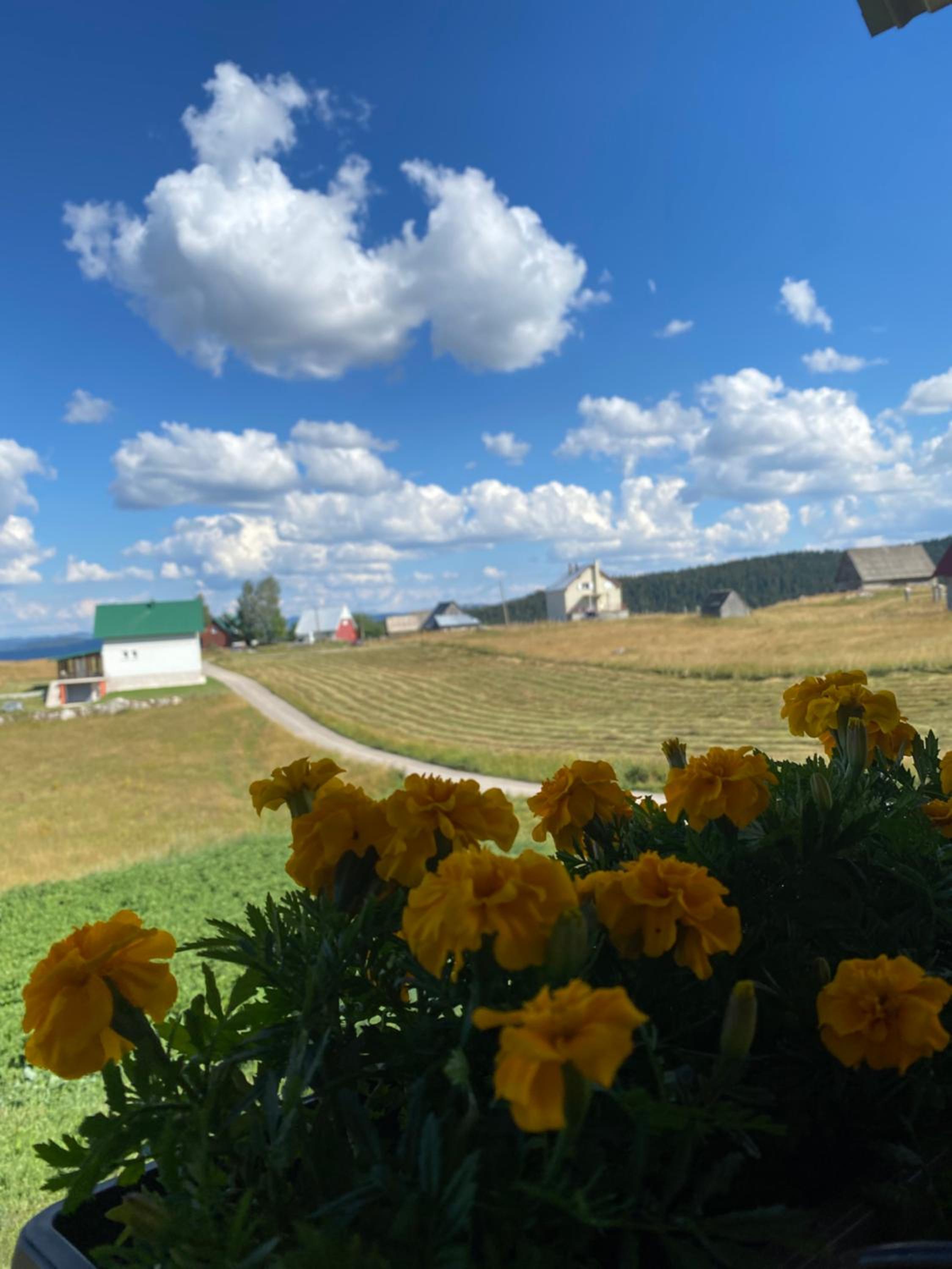 Apartman BUKOVAC view 5