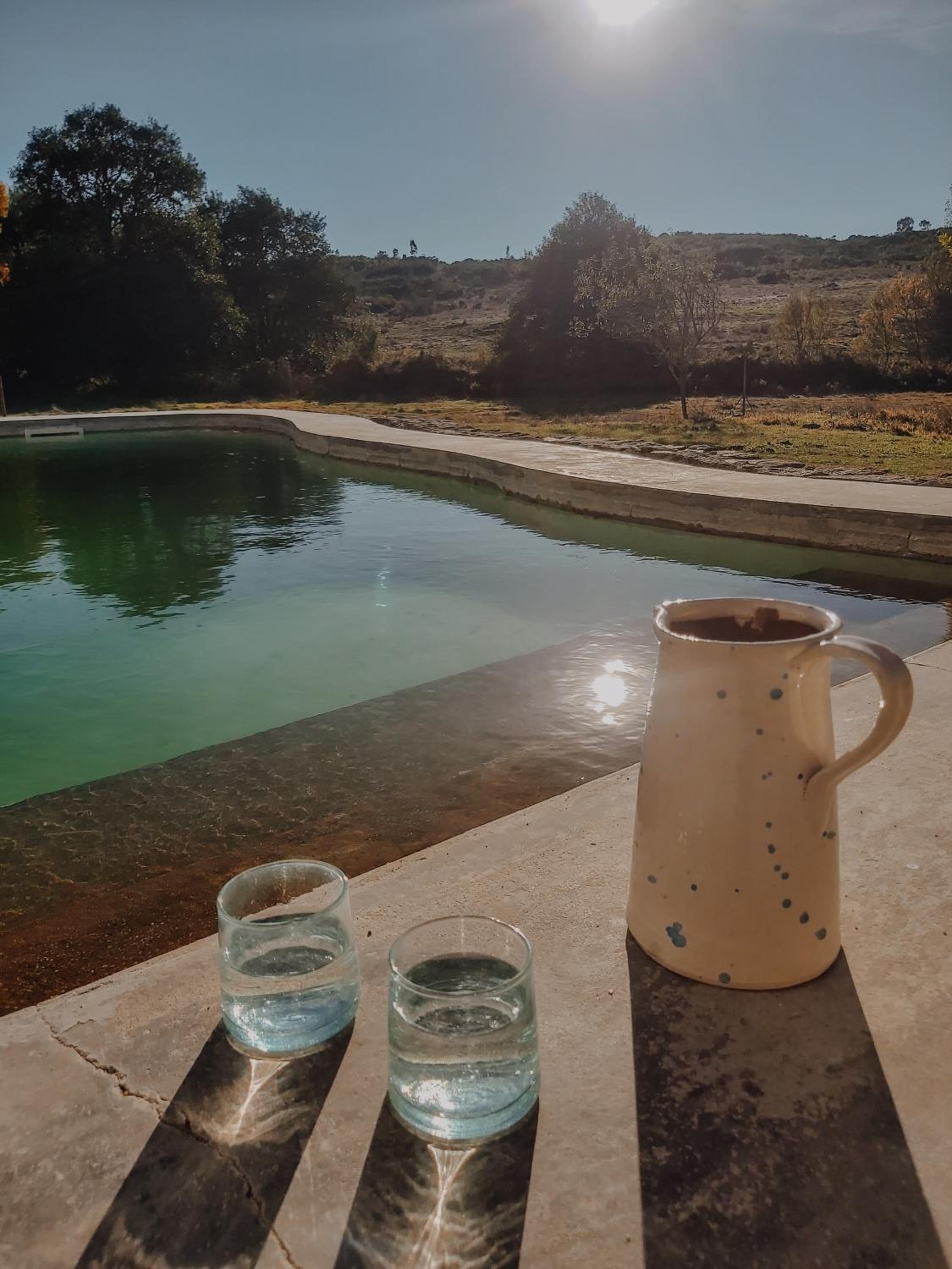 THE OLIVE PRESS - Alentejo view 3