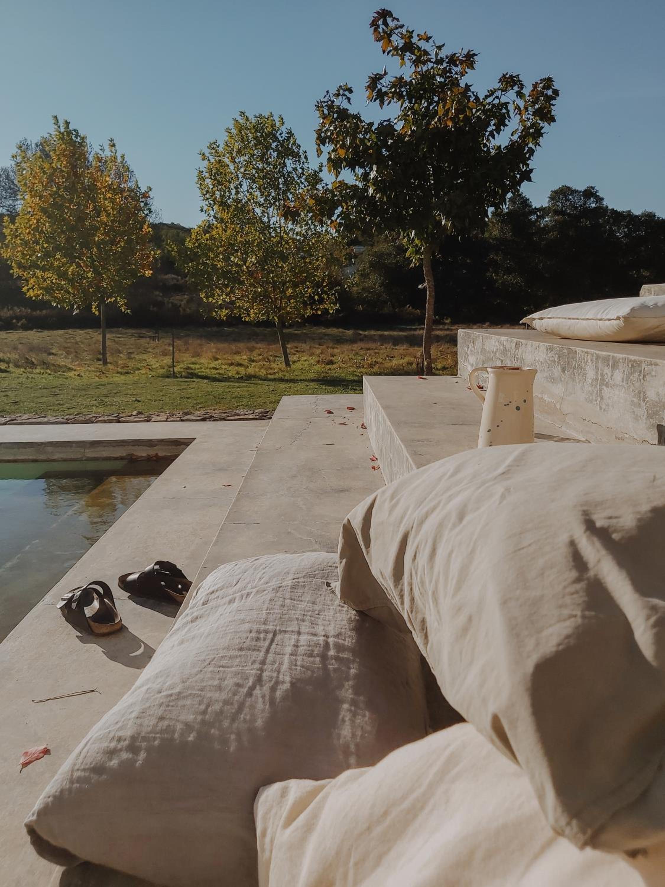 THE OLIVE PRESS - Alentejo view 4