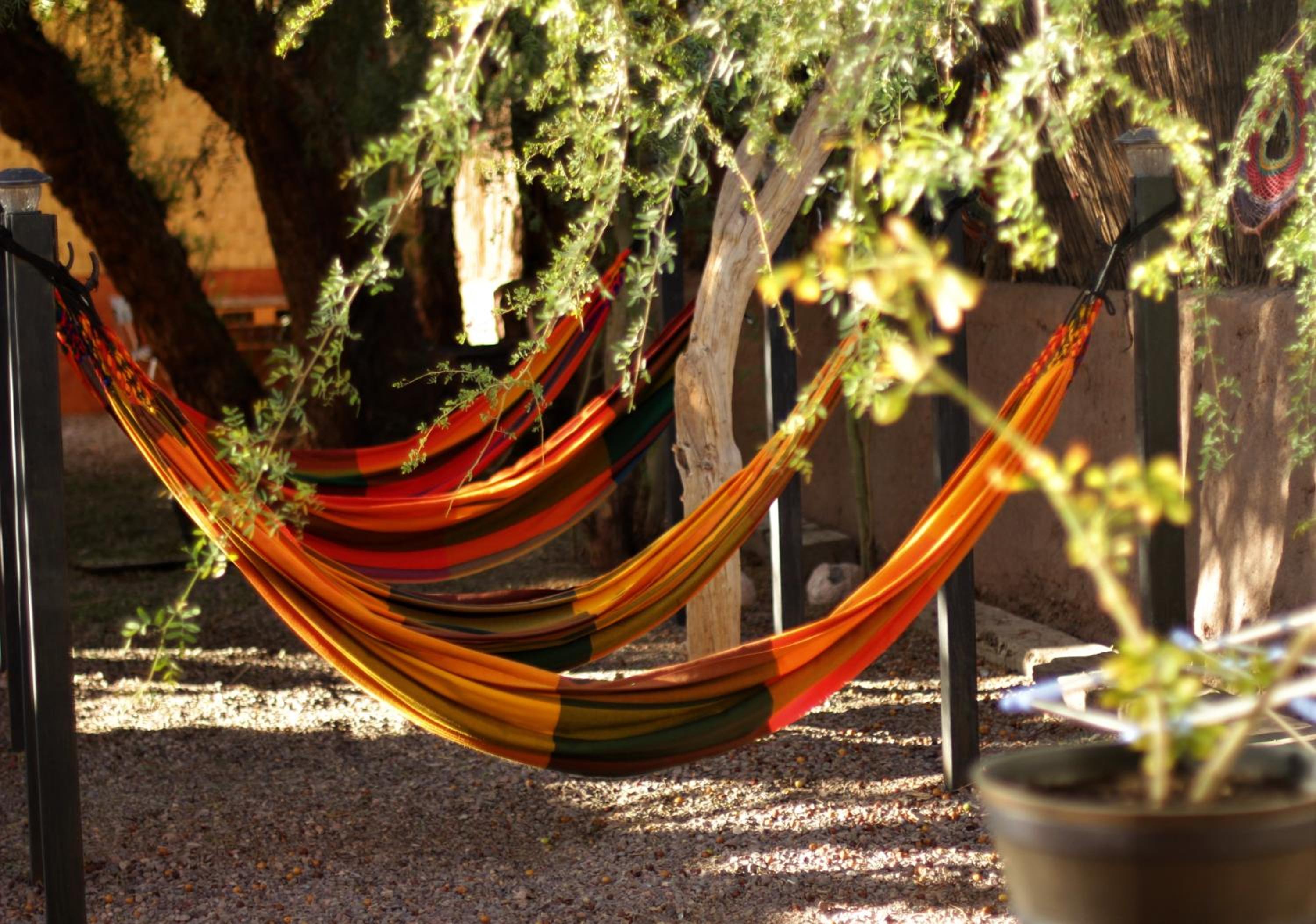 Anka Hostel