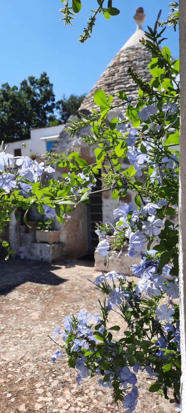 TRULLO PIETRAPOESIA