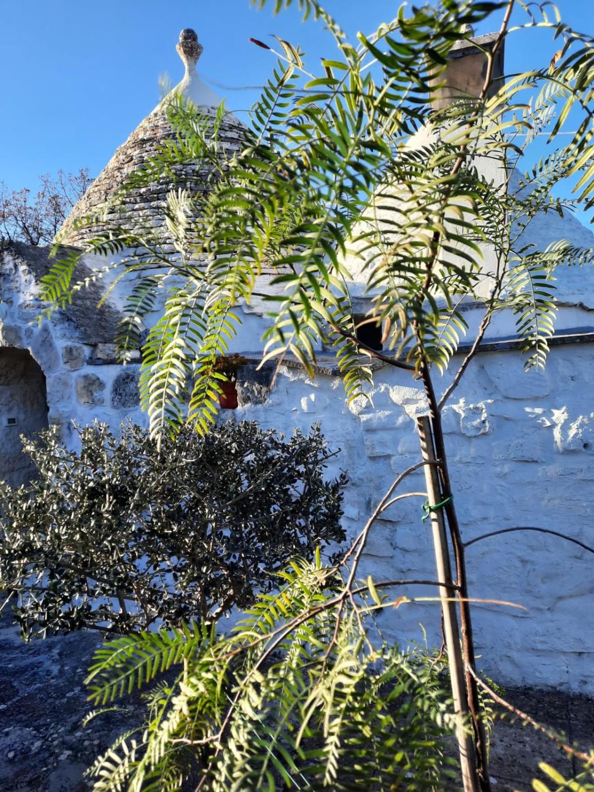 TRULLO PIETRAPOESIA