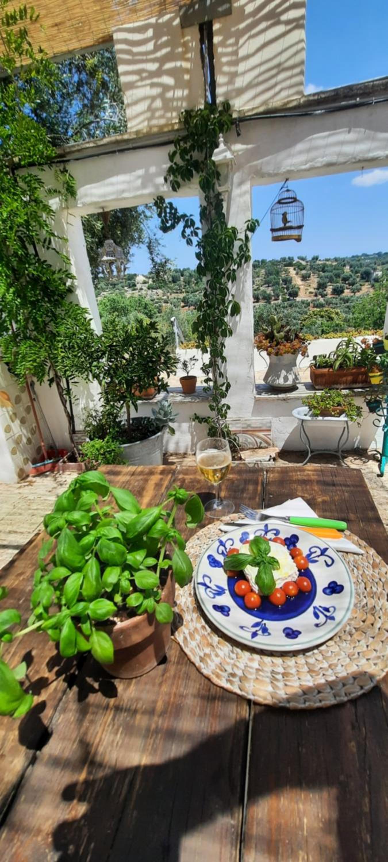TRULLO PIETRAPOESIA