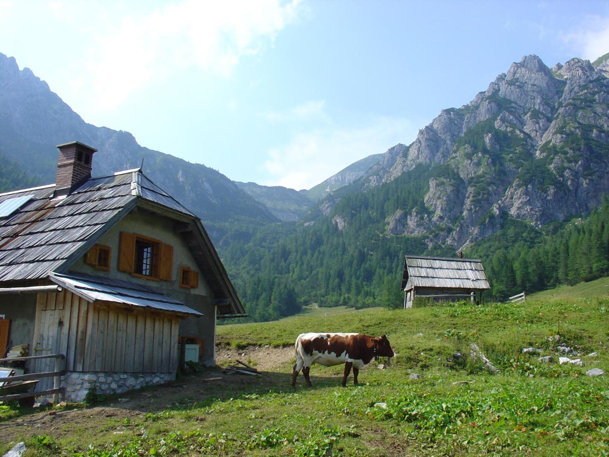 Photo 26