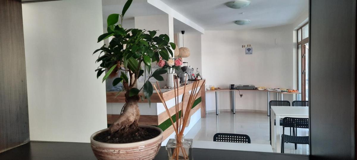 Guest House Vivian