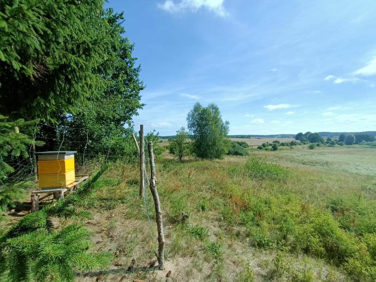 Photo 23