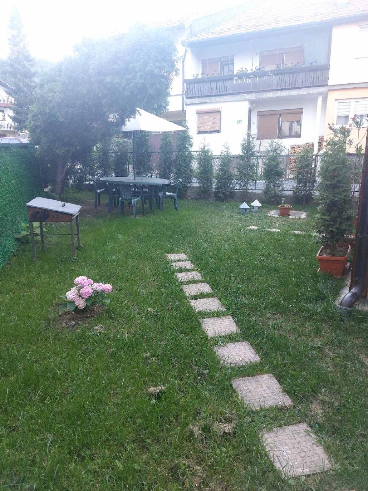 Orhideja Visoko