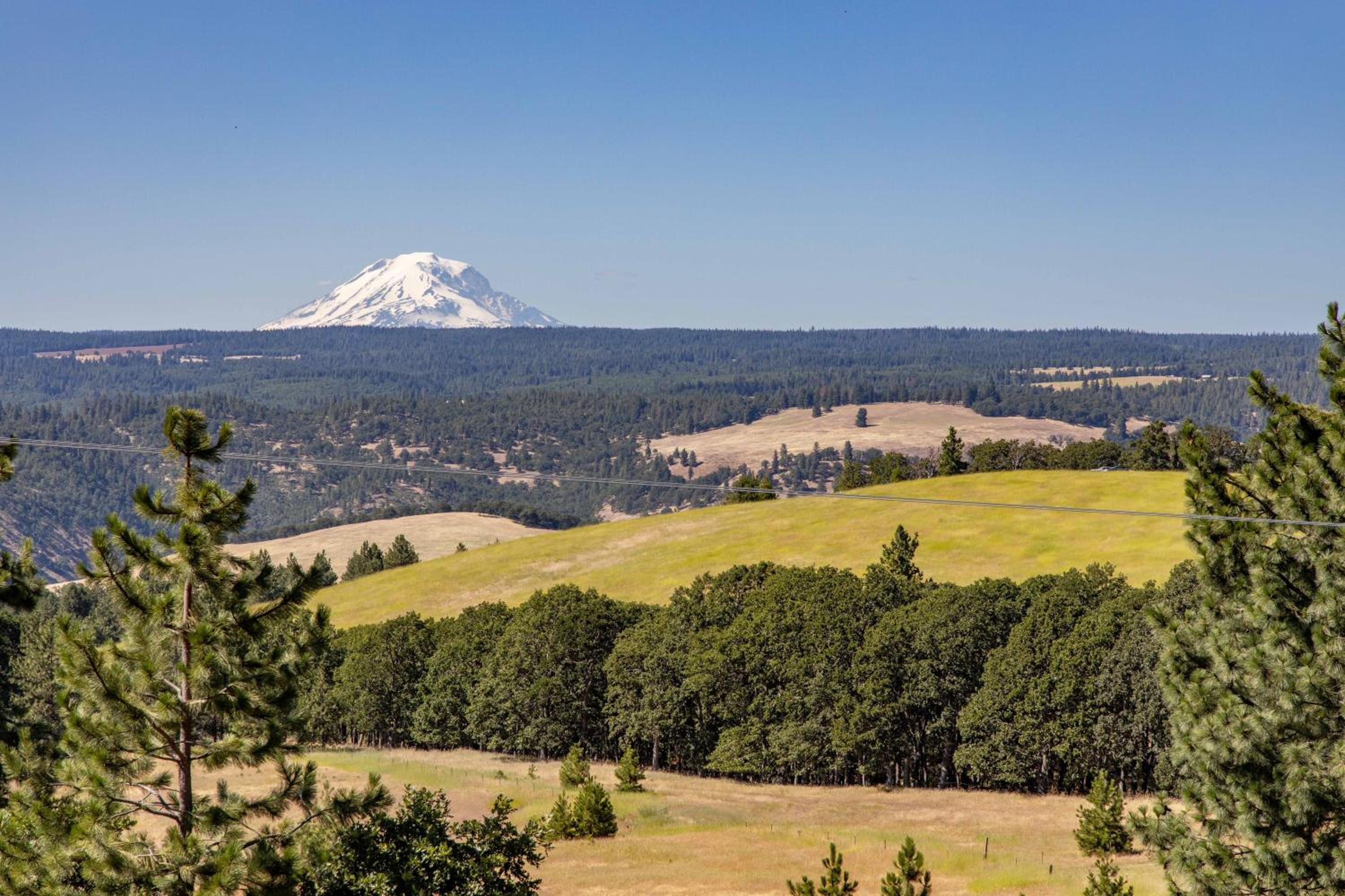 Rowland Log Cabin home view 3