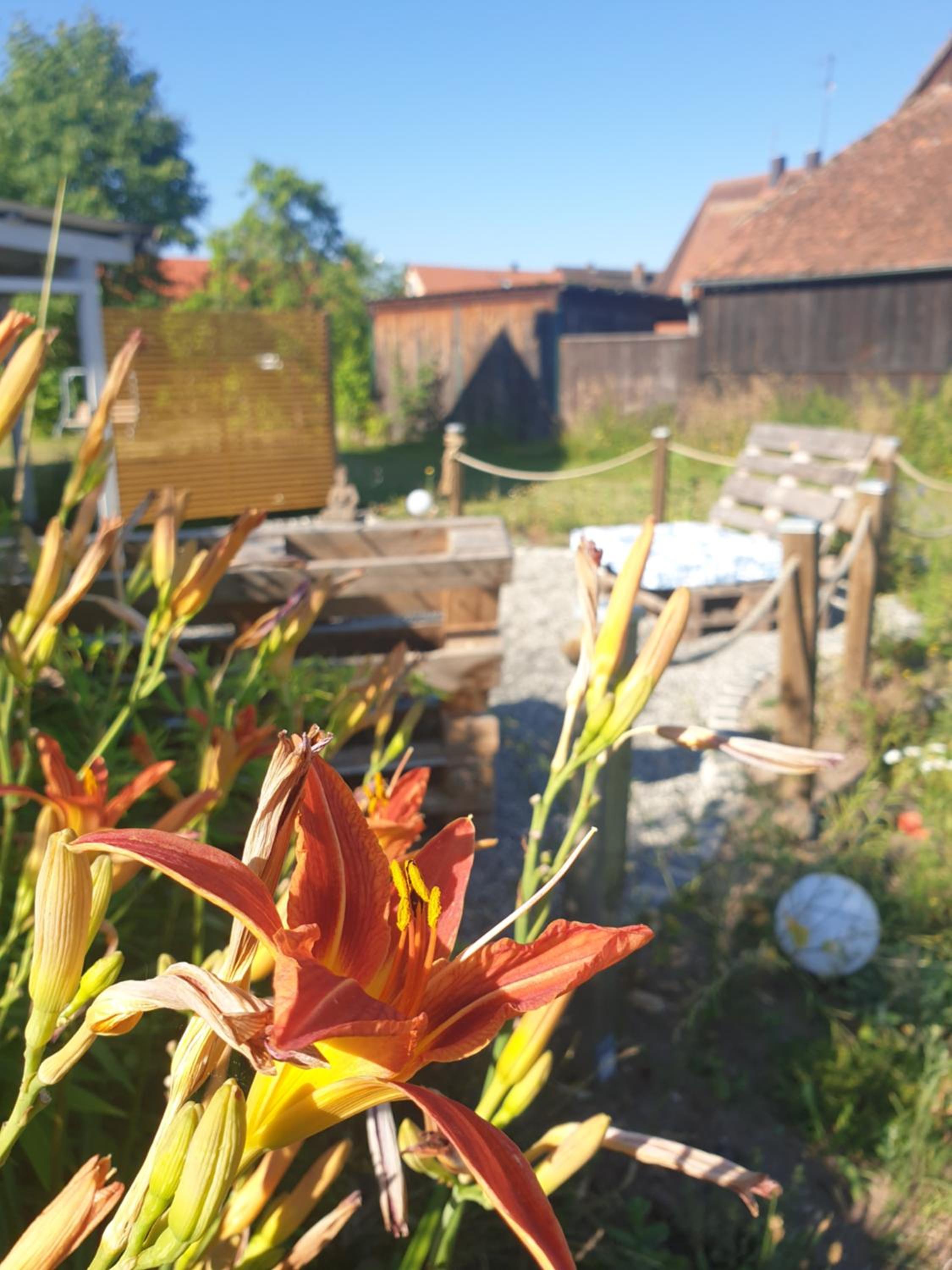 Haus am See - Property Image 58