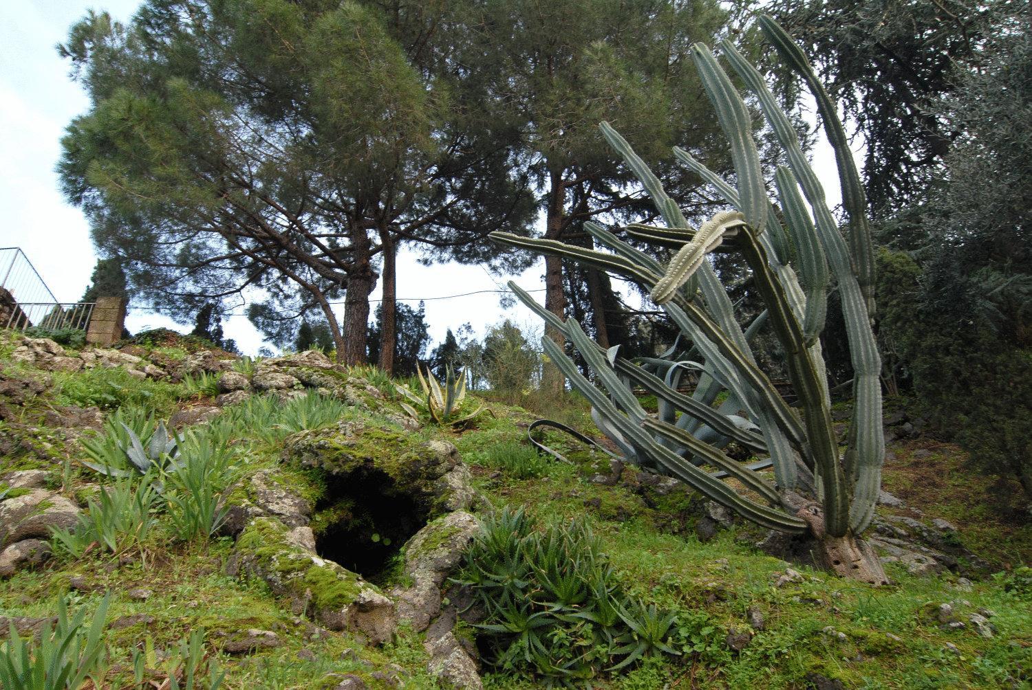 Photo 44