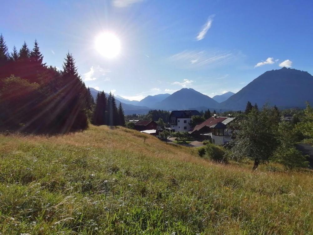 Photo 42