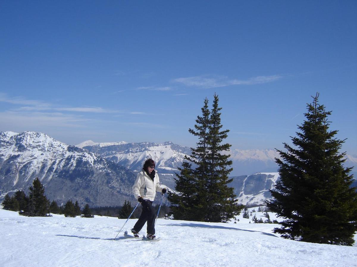 Photo 42