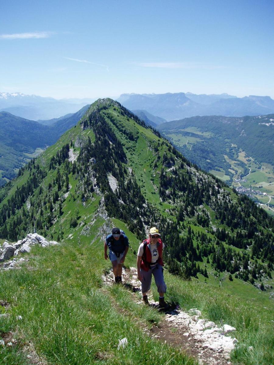 Photo 44