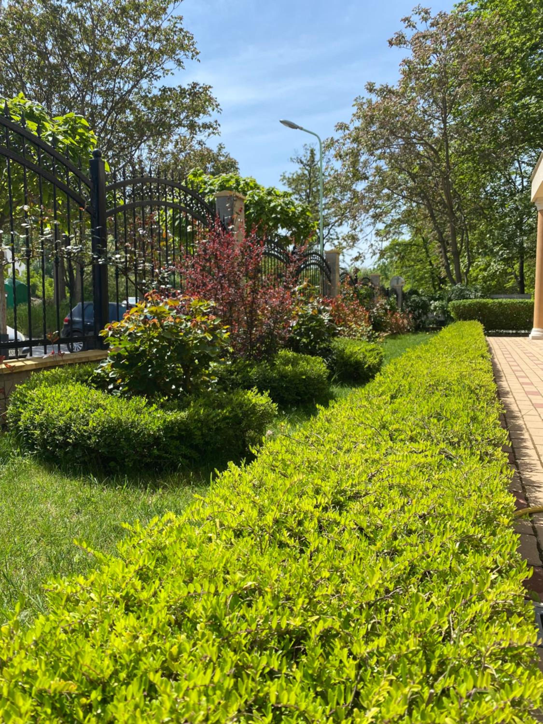 Green park Sandanski