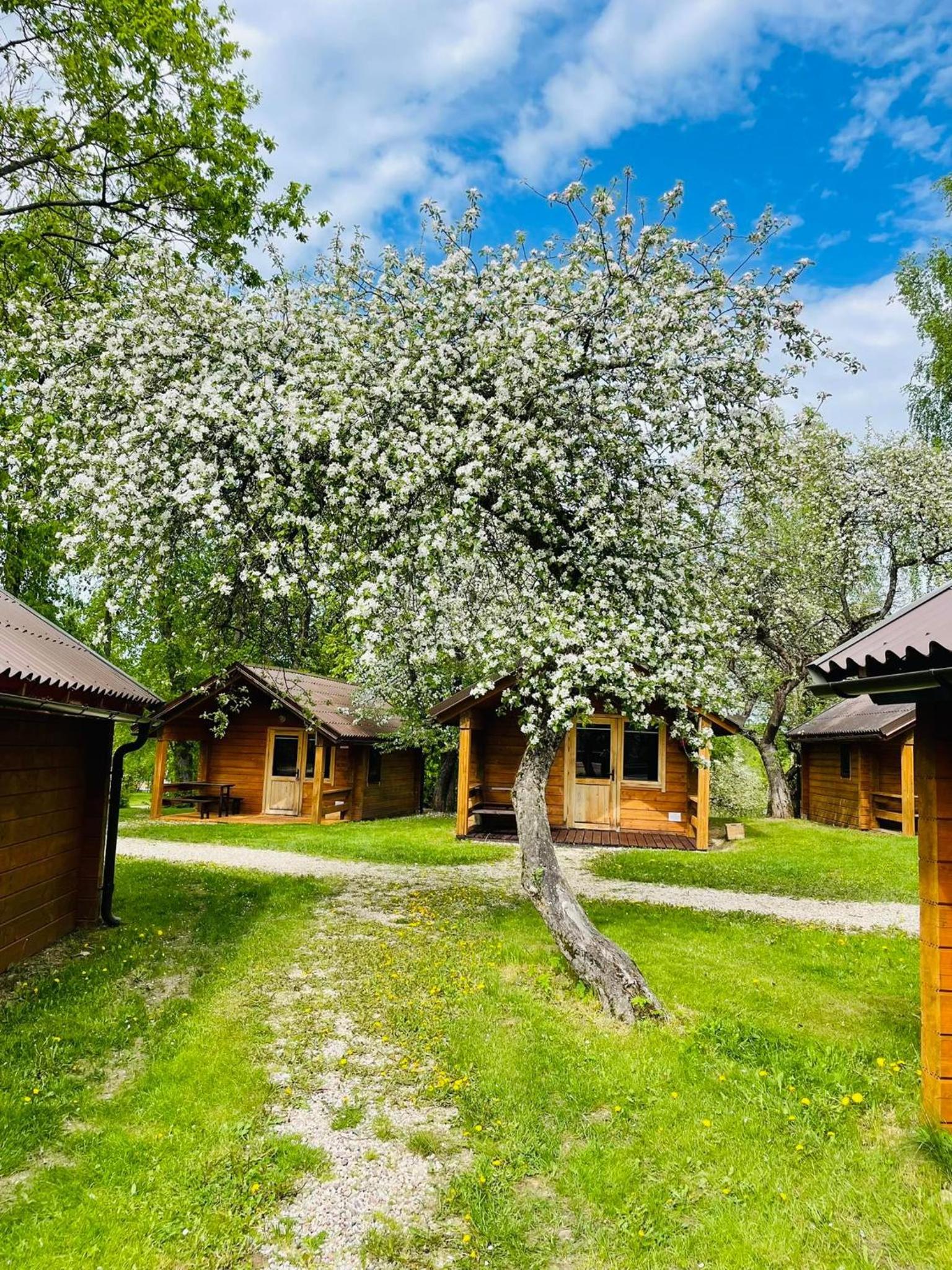 Poilsio gyvenvietė "Obuolių sala" view 4